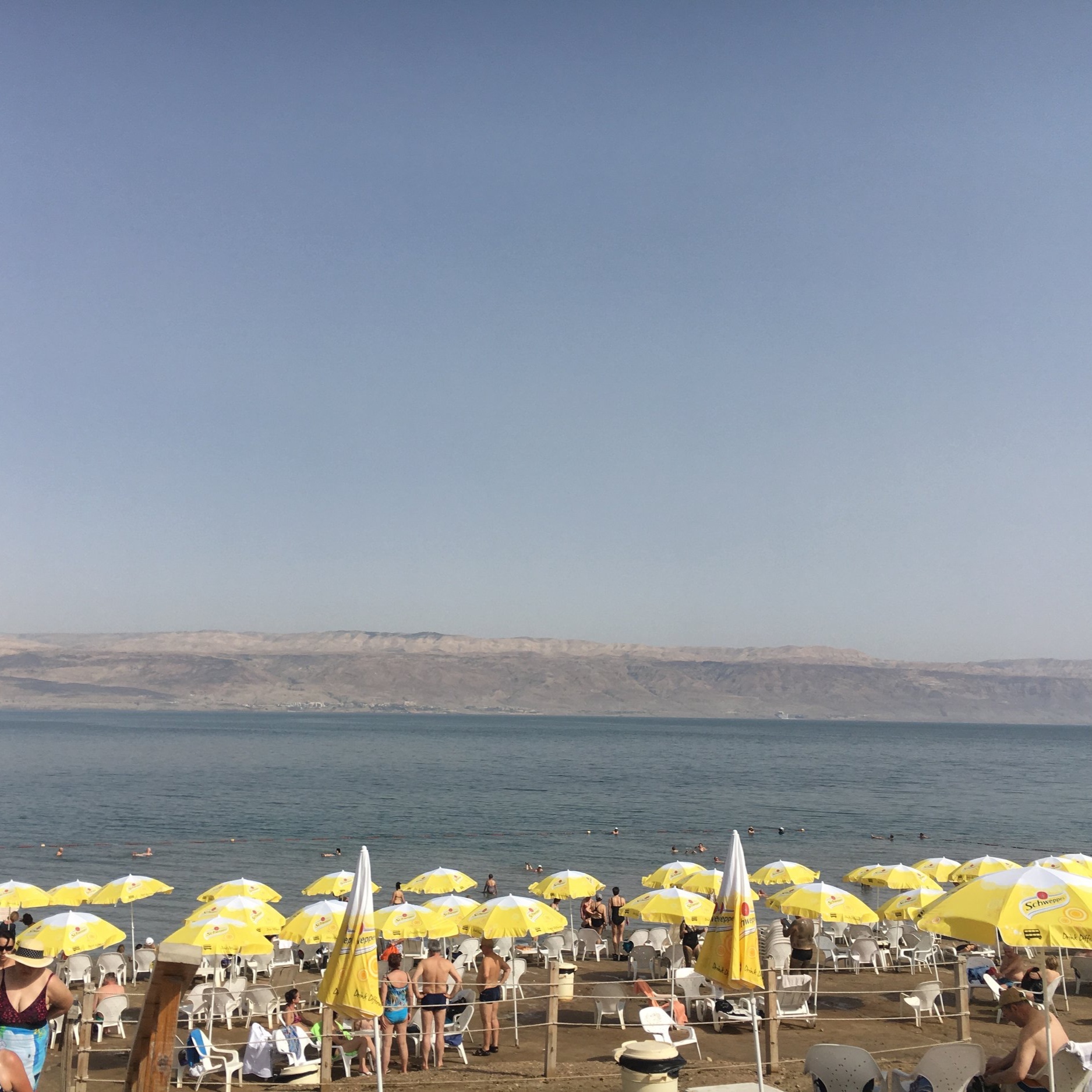IMG_2879.jpeg