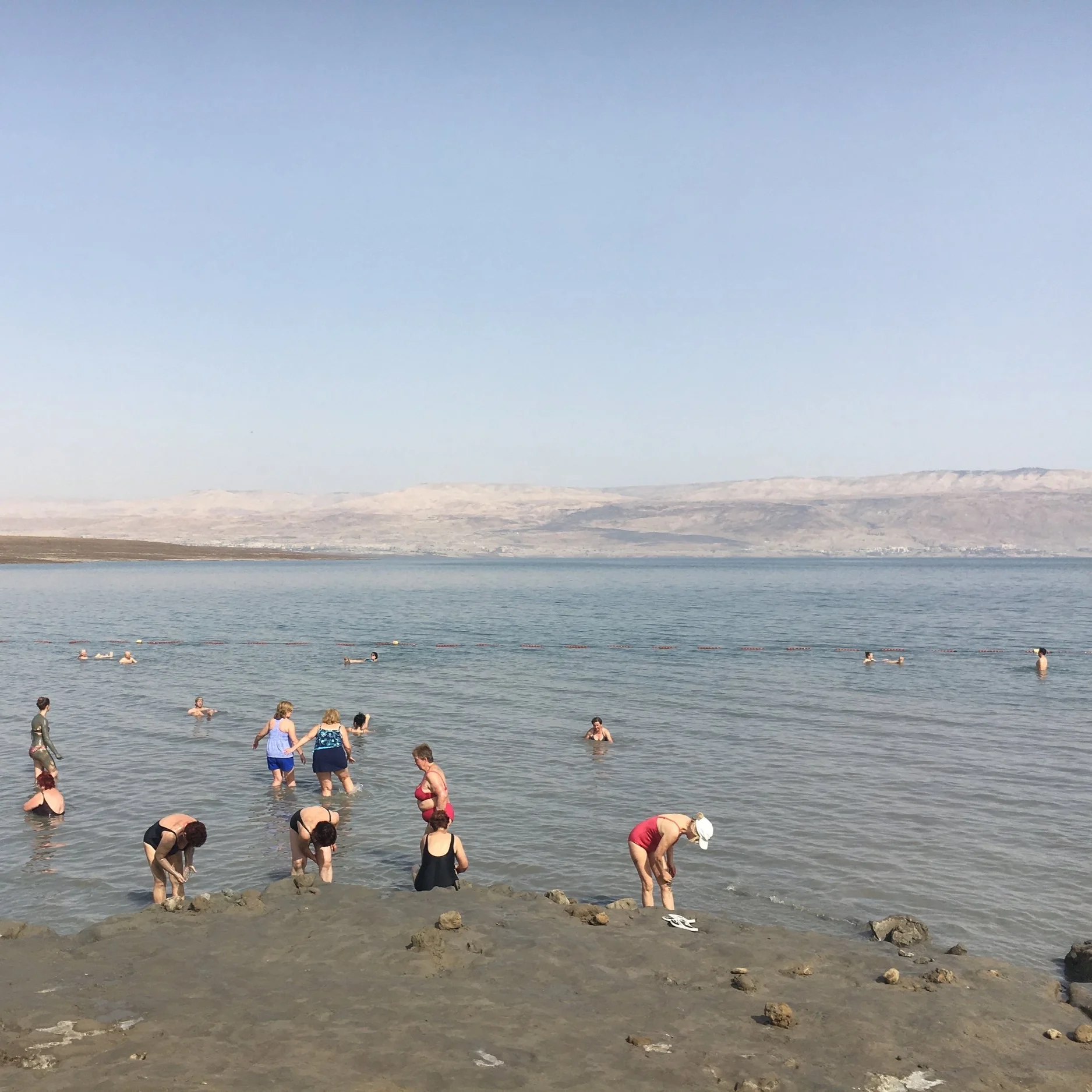 IMG_2880.jpeg