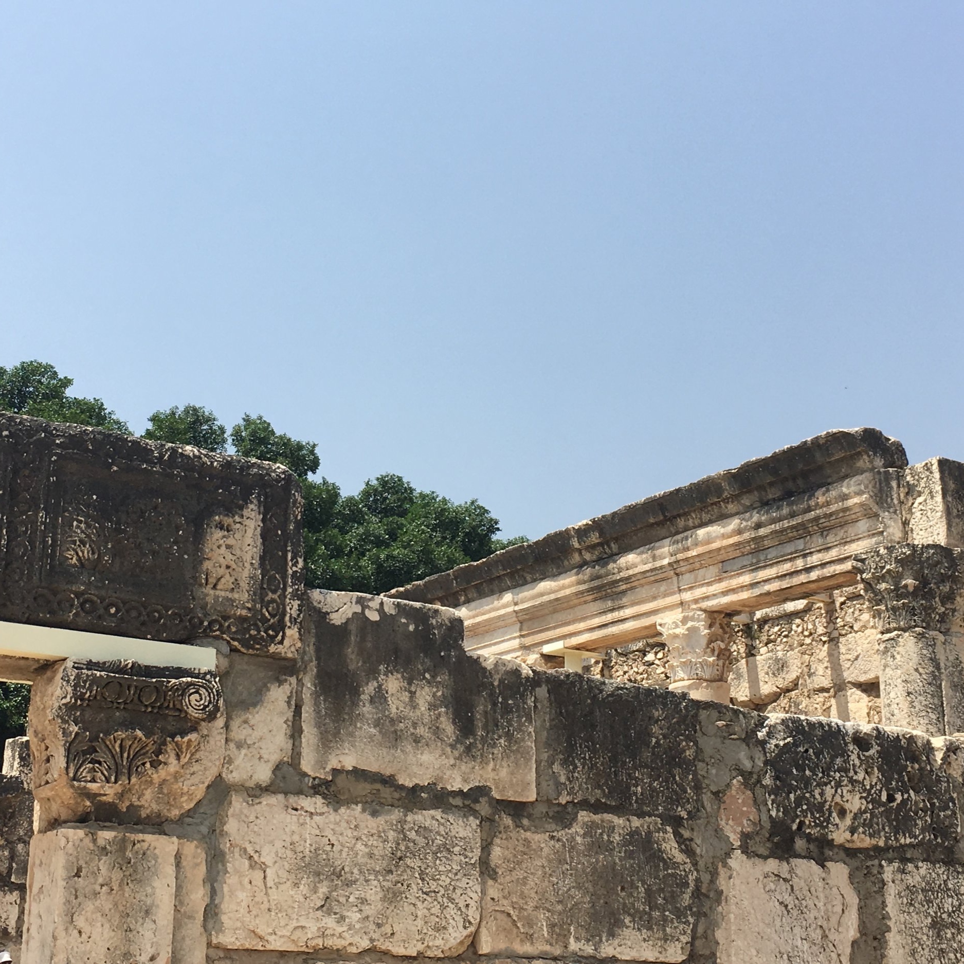 IMG_3107.jpeg