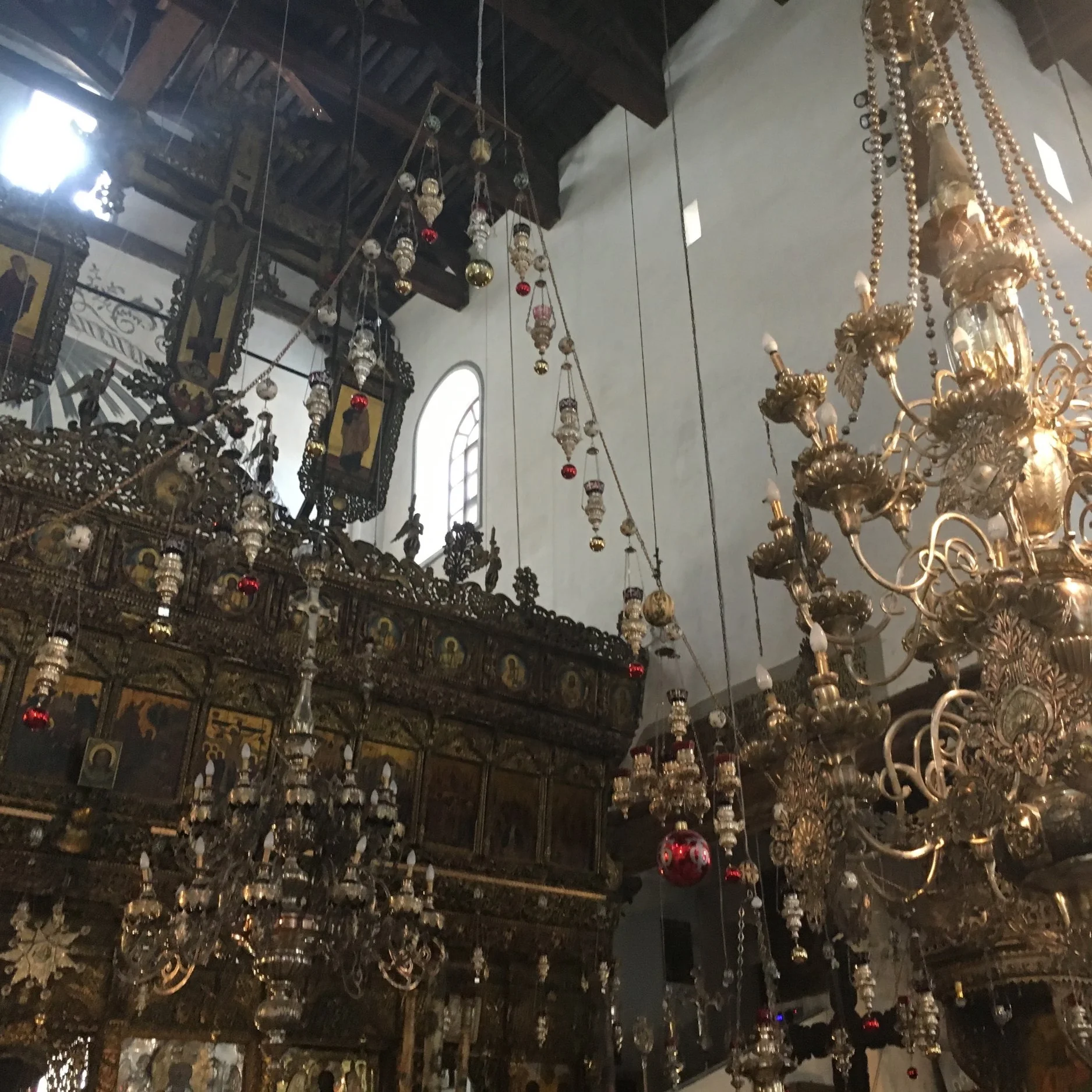 IMG_2939.jpeg