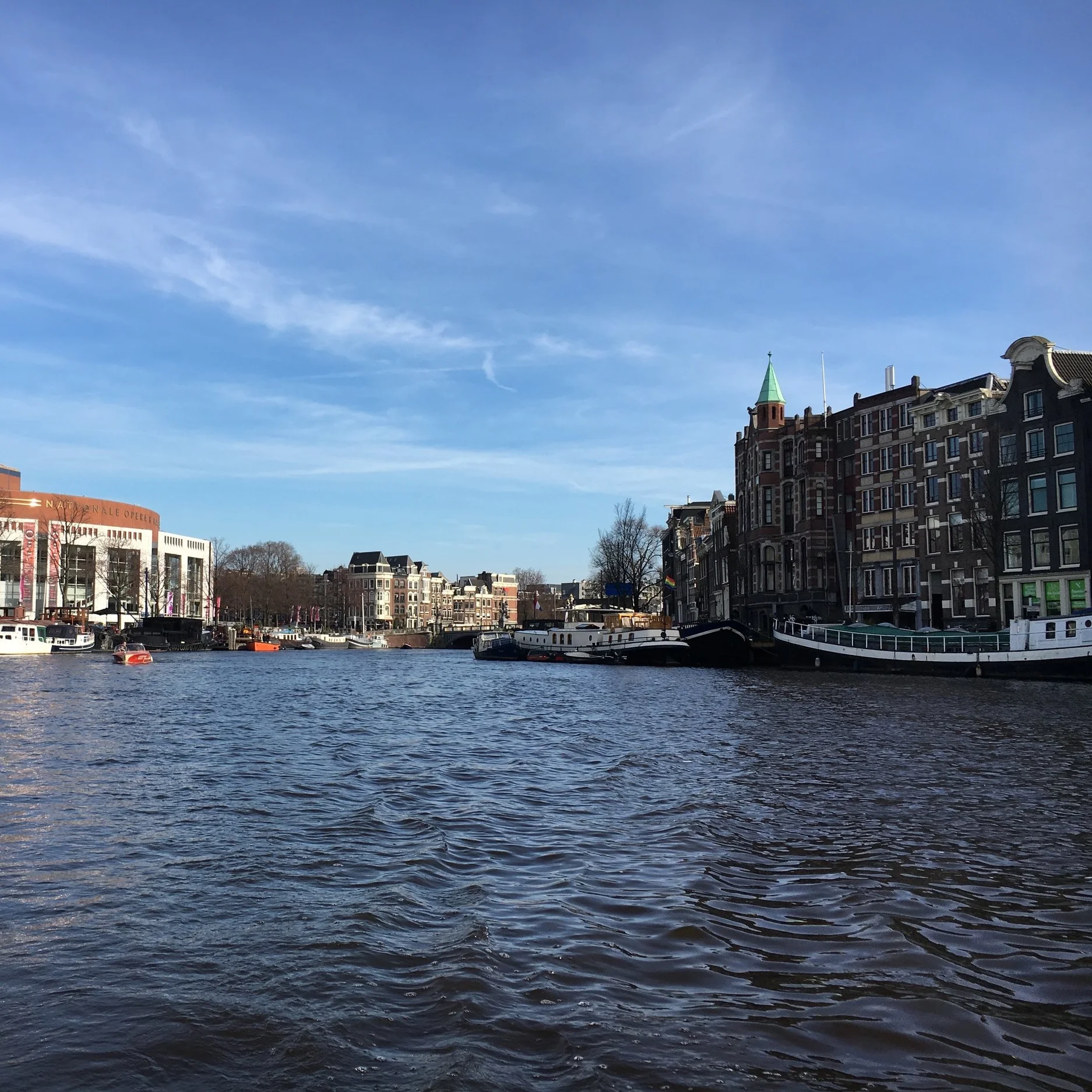 IMG_0228.jpeg