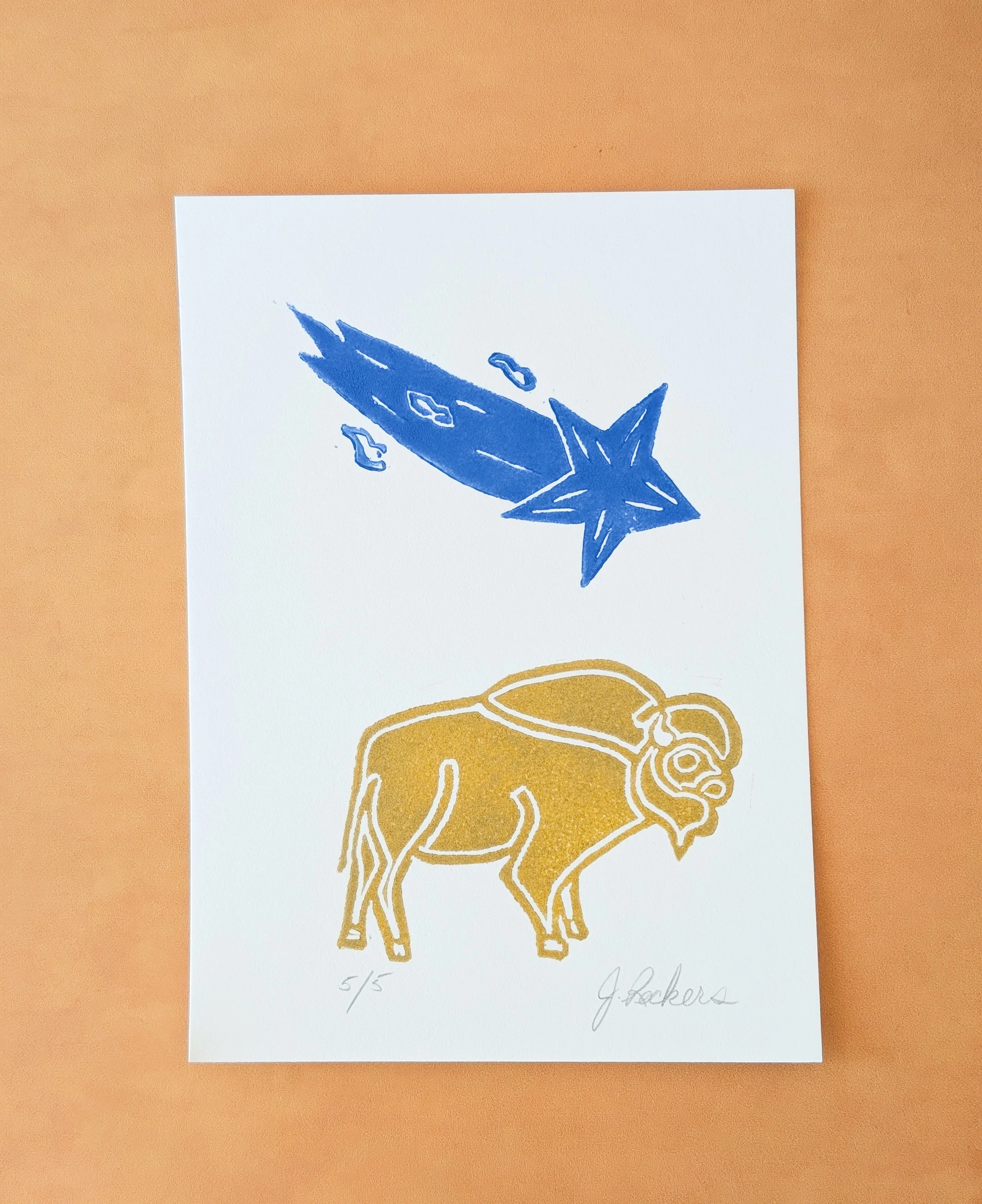 SM Bison (7).jpg.jpg