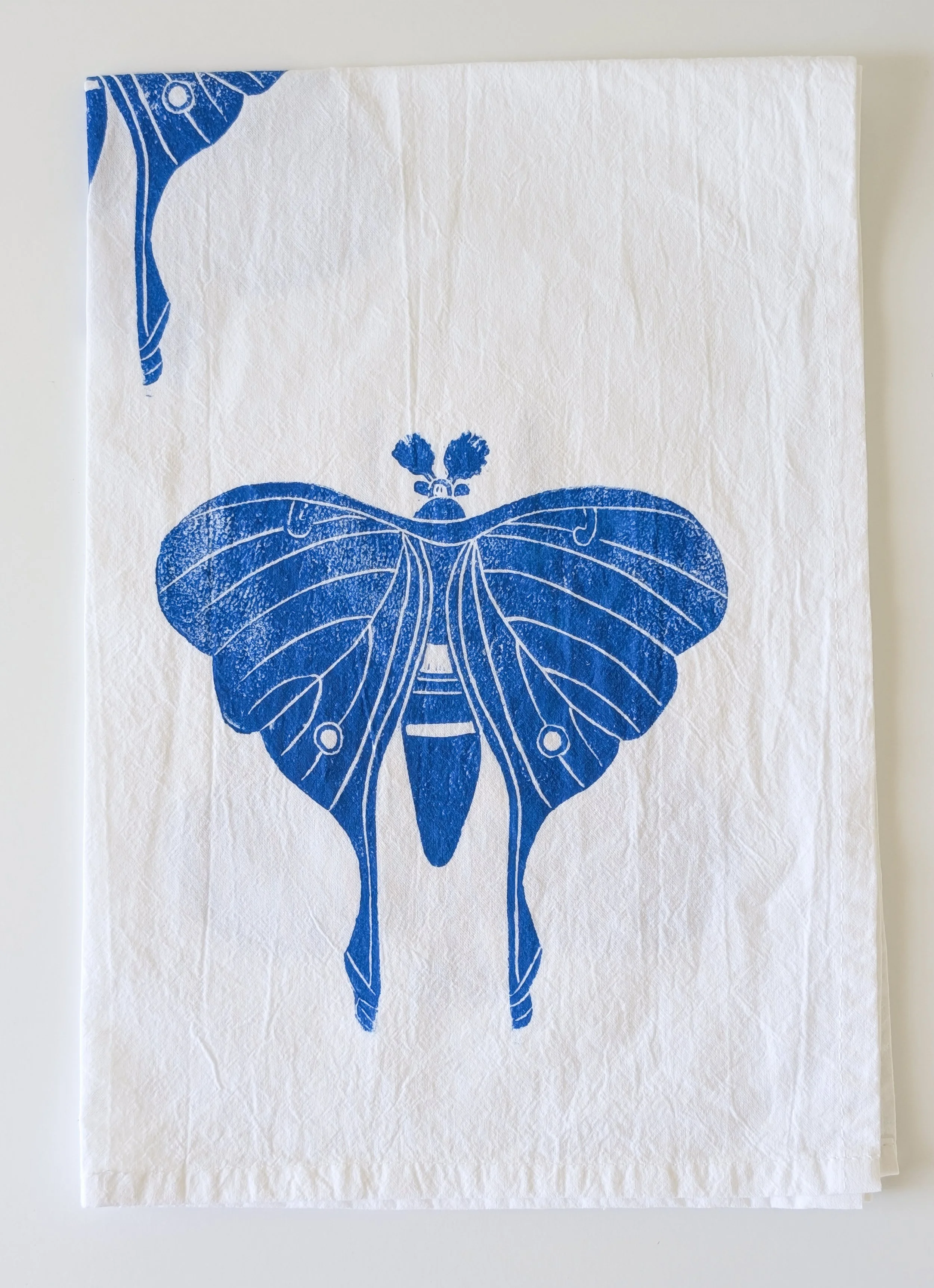 Luna Moth (12).jpg