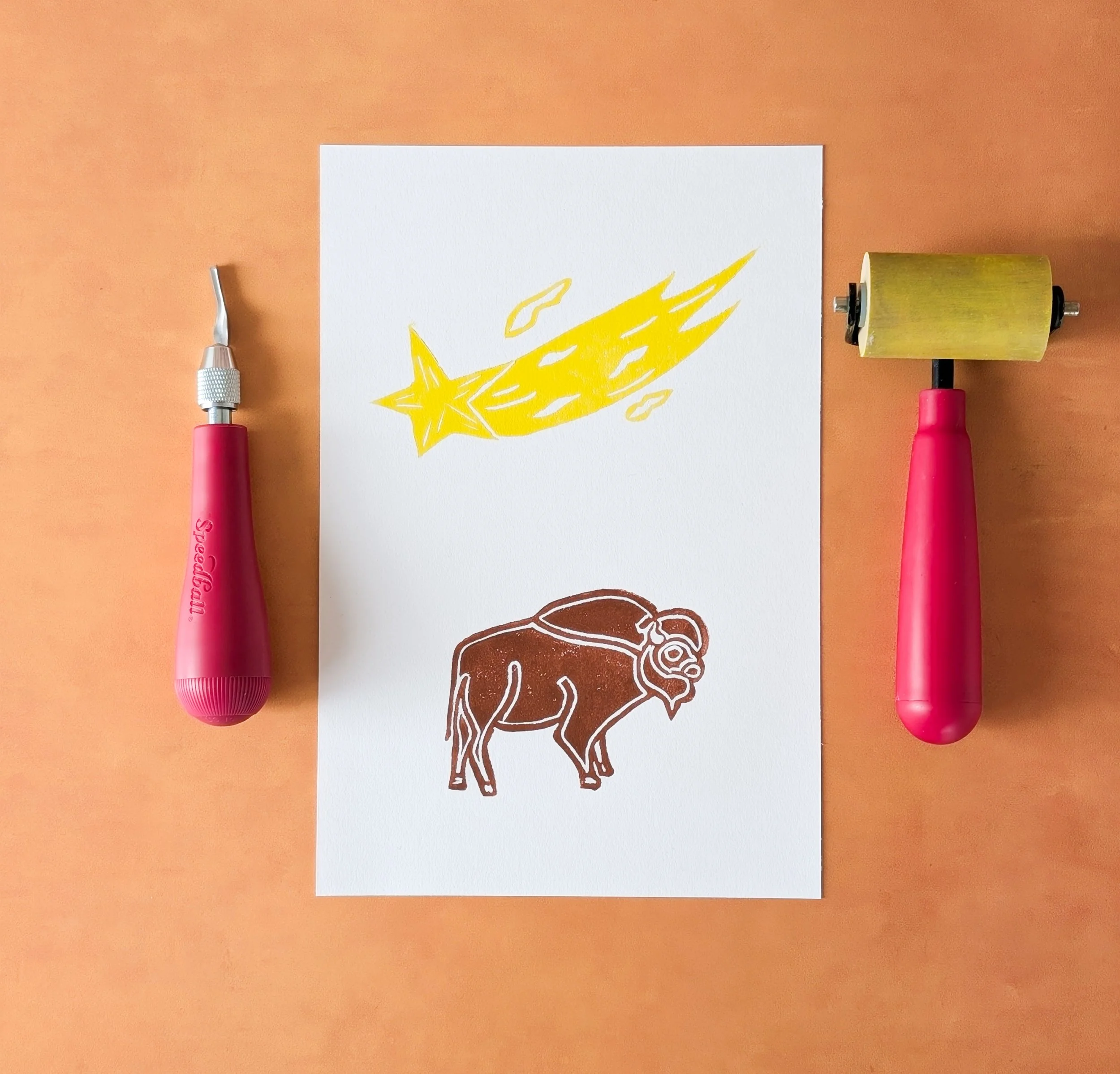 Brown Bison and Shooting Star Print