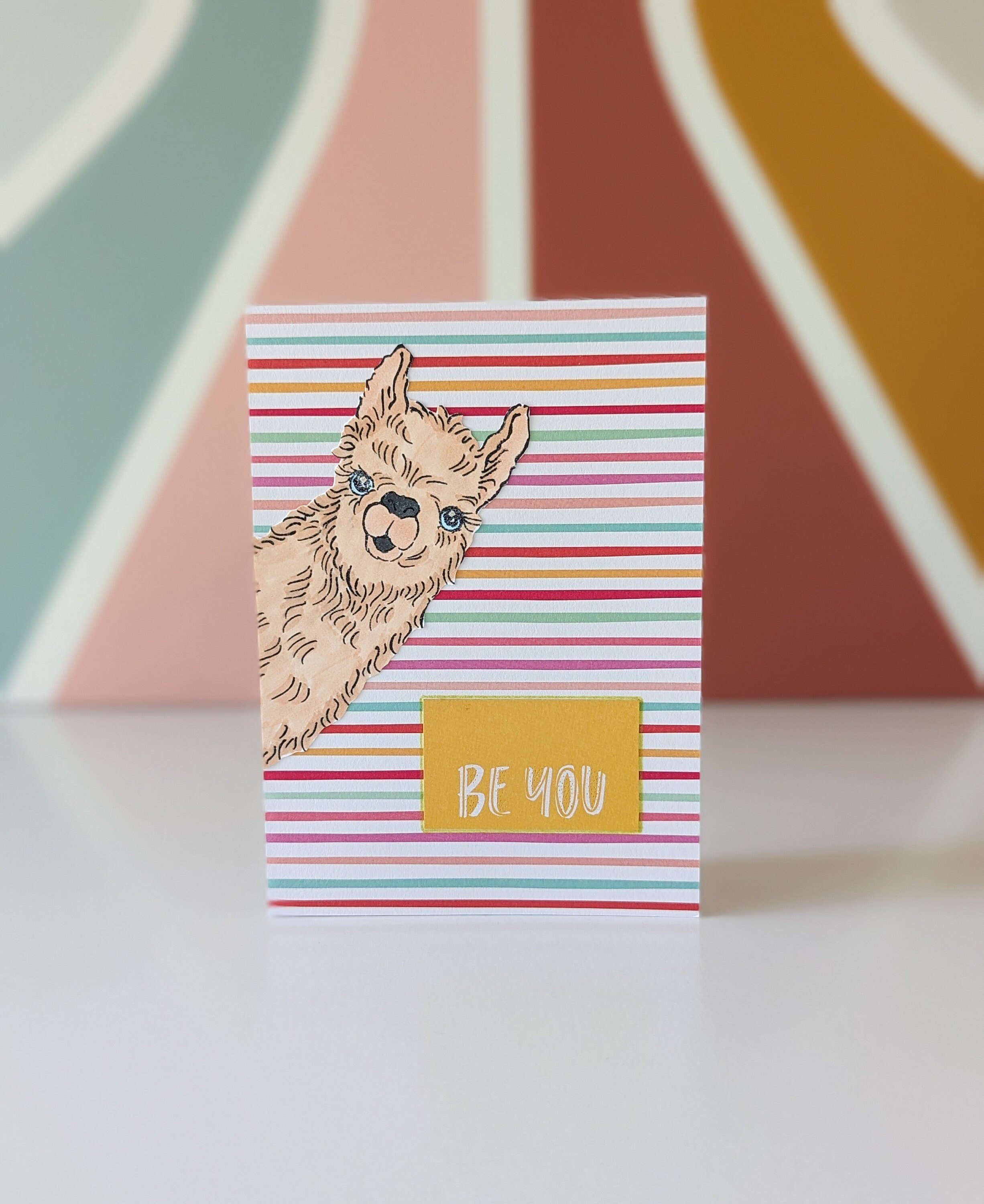 https://i.etsystatic.com/8667148/r/il/92df9f/5144576321/il_fullxfull.5144576321_movh.jpg