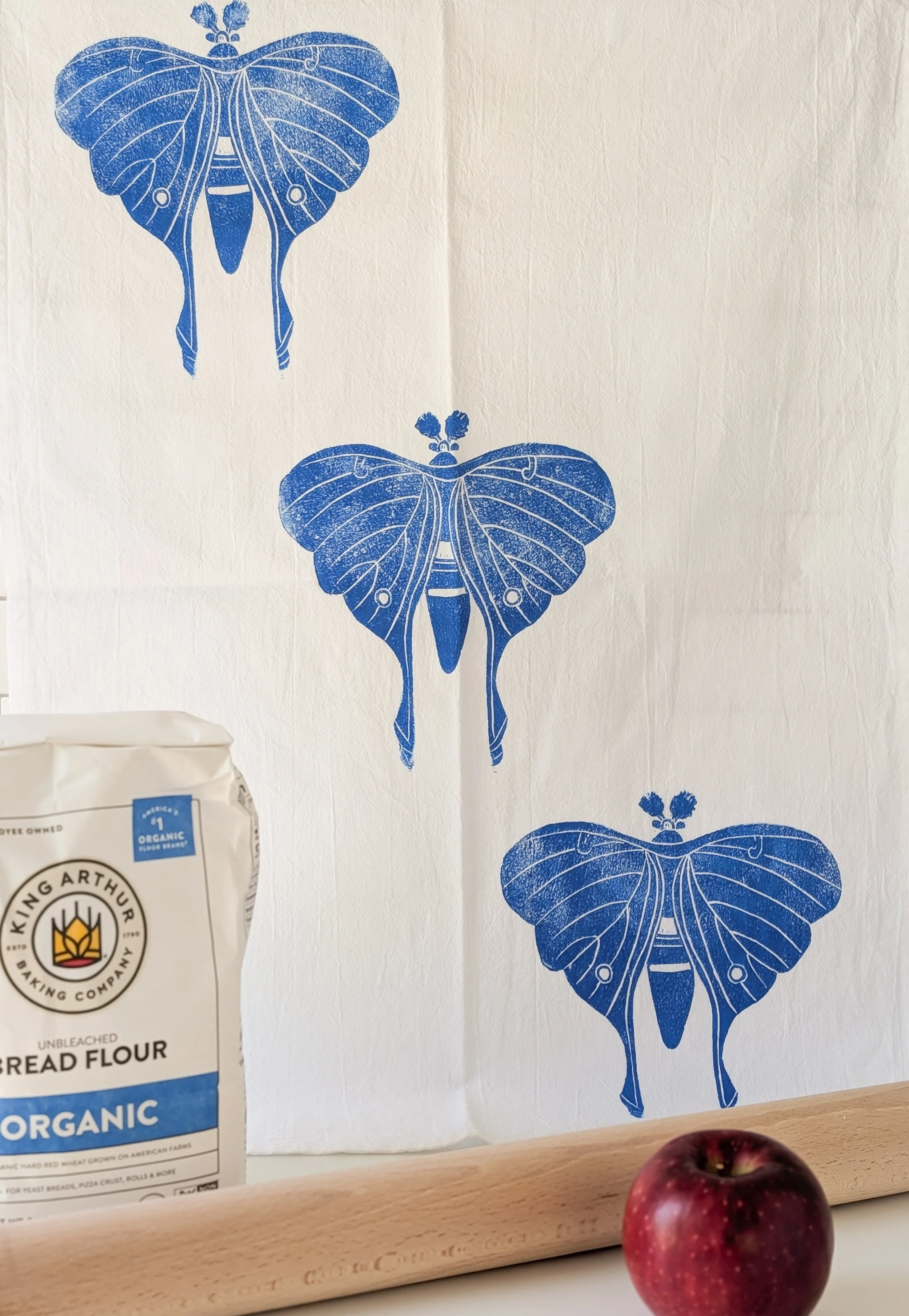 Luna Moth (4).jpg