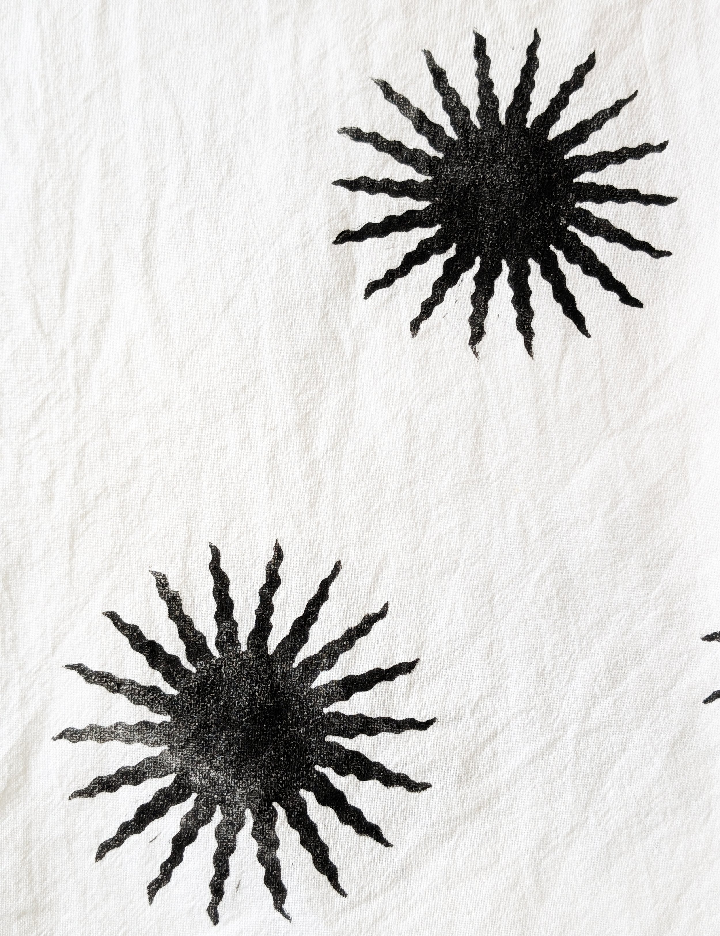 Black Hole Sun (15).jpg