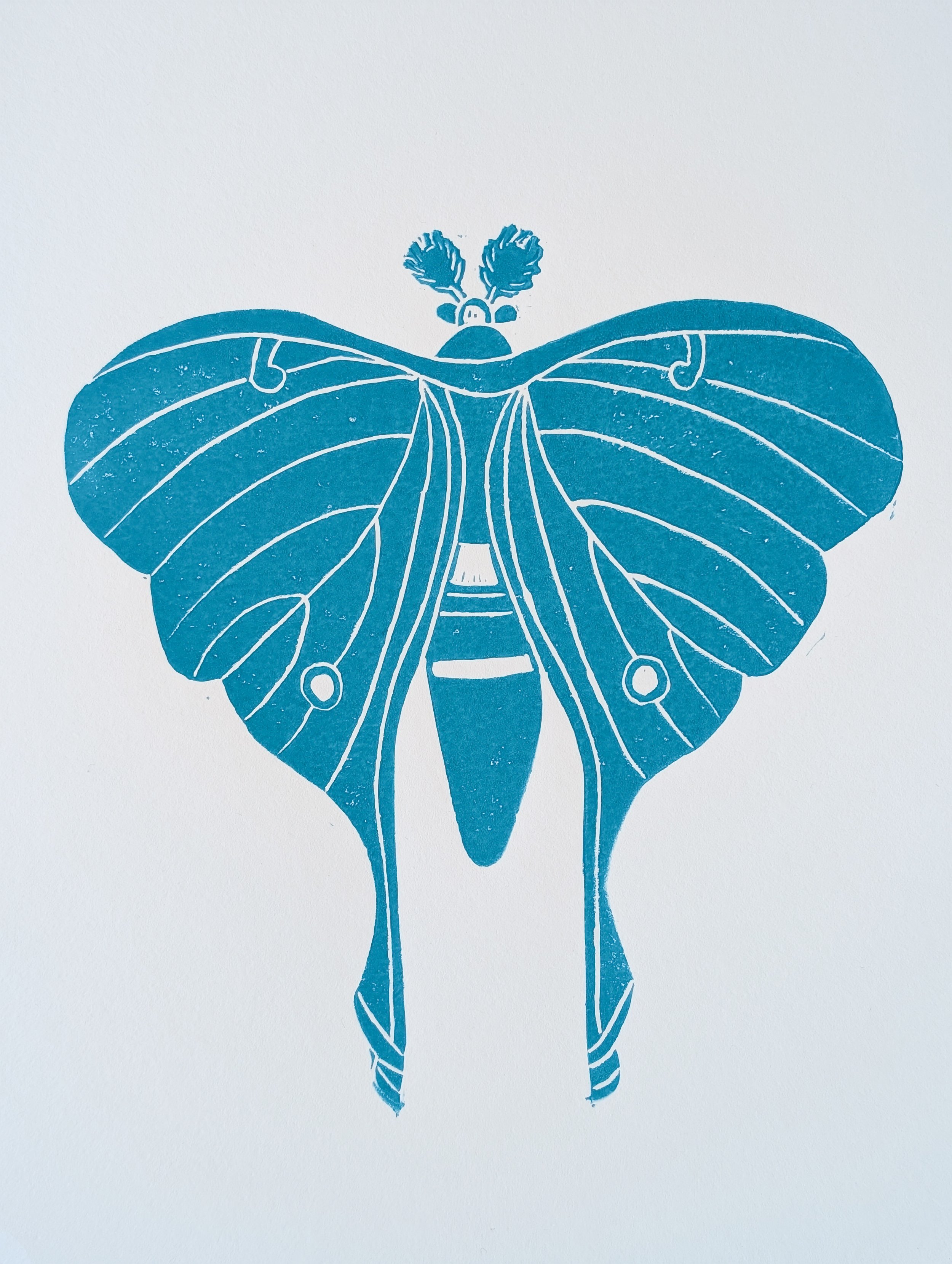 Luna Moth (4).jpg.jpg