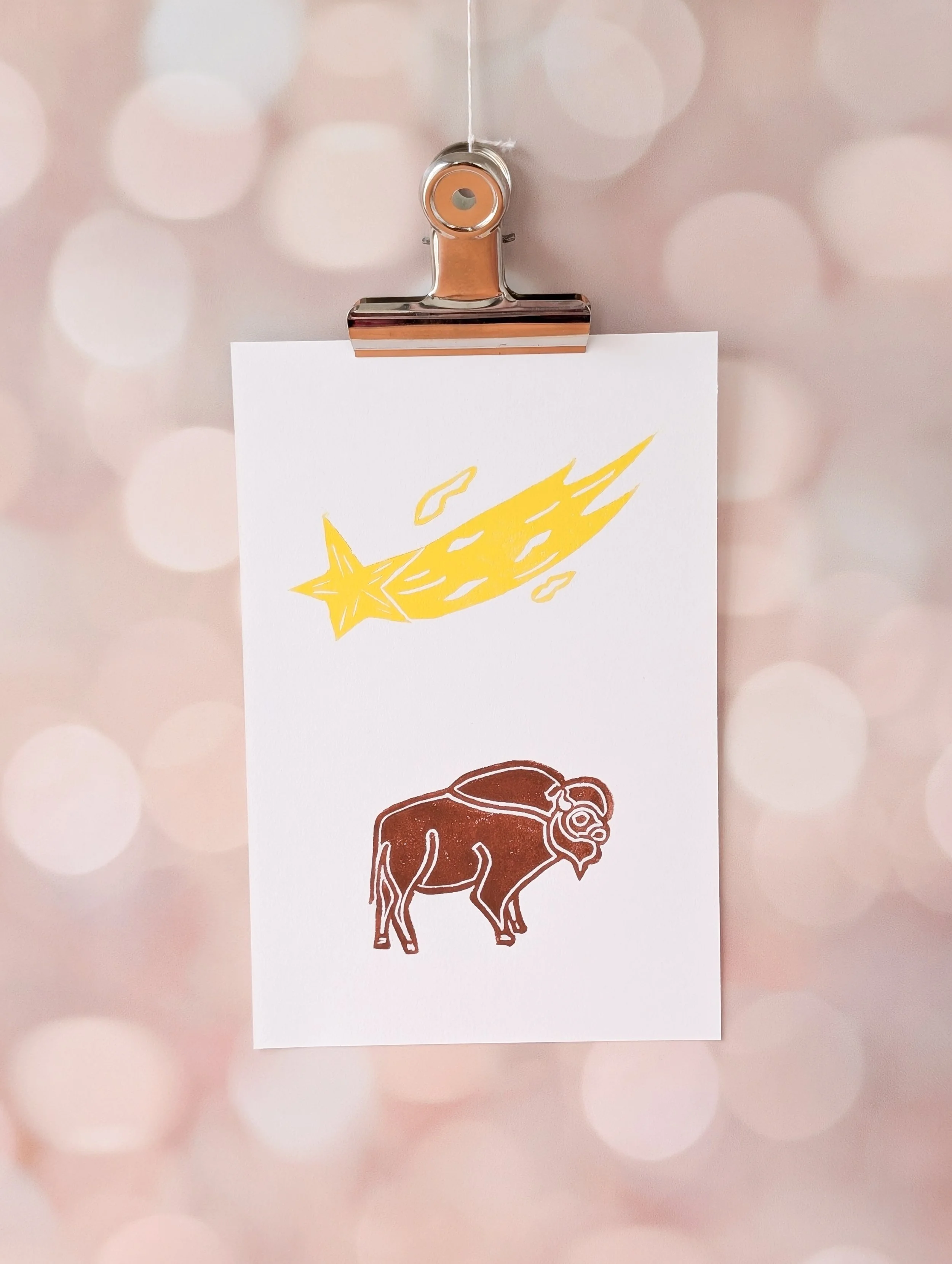 Med Bison (1).jpg.jpg