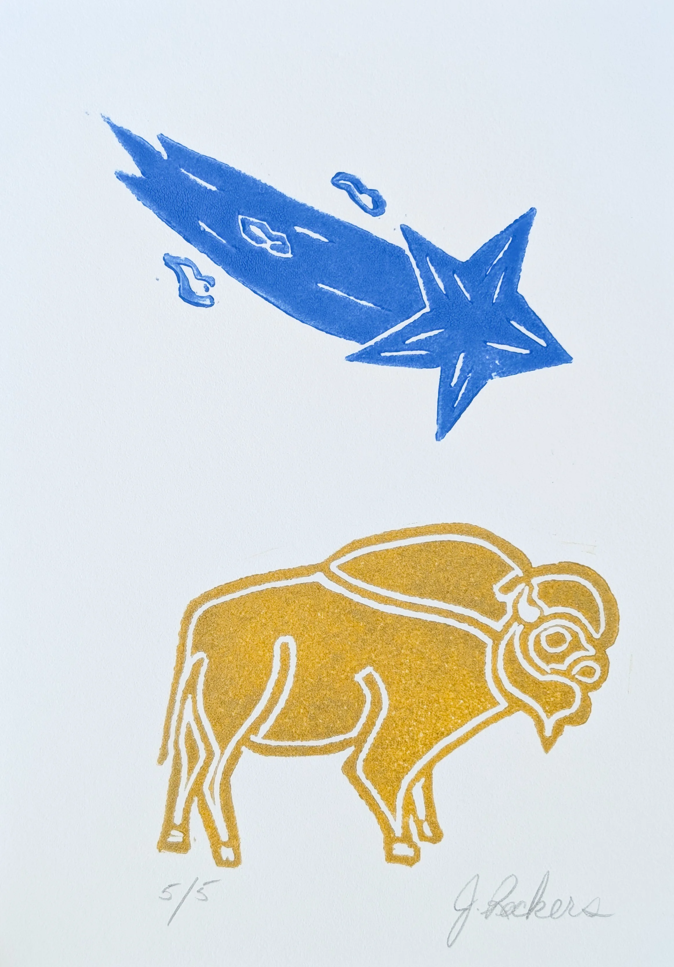 SM Bison (9).jpg.jpg