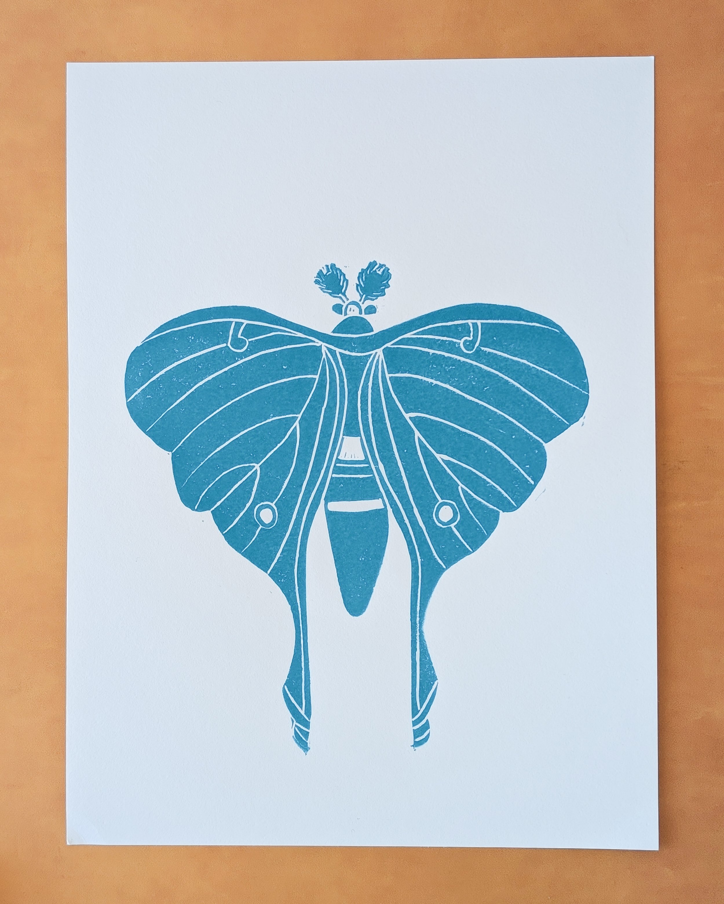 Luna Moth (3).jpg.jpg