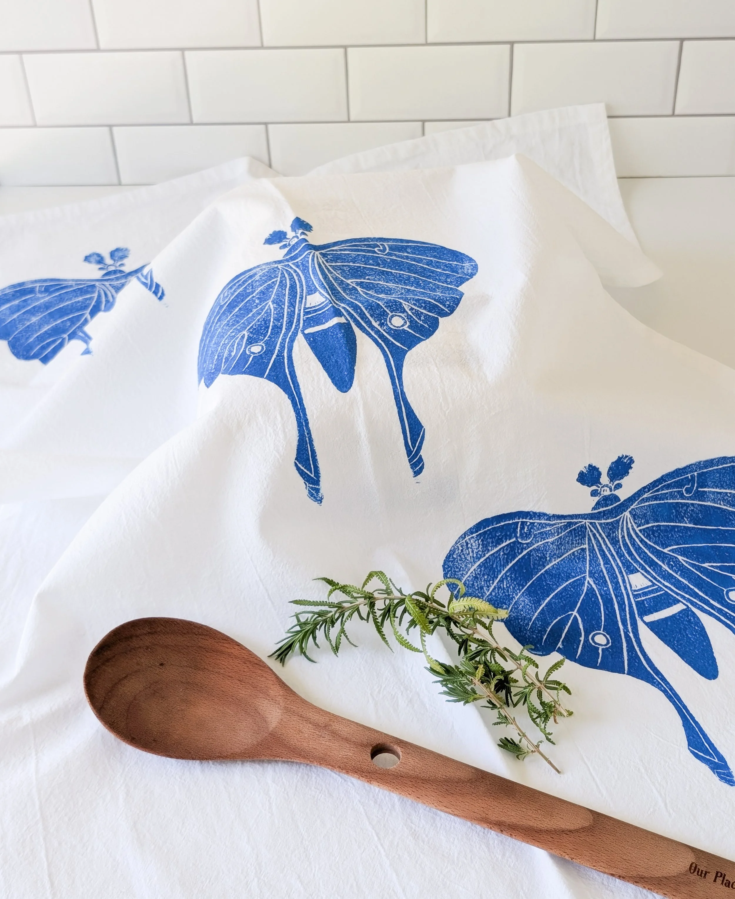 Luna Moth (2).jpg