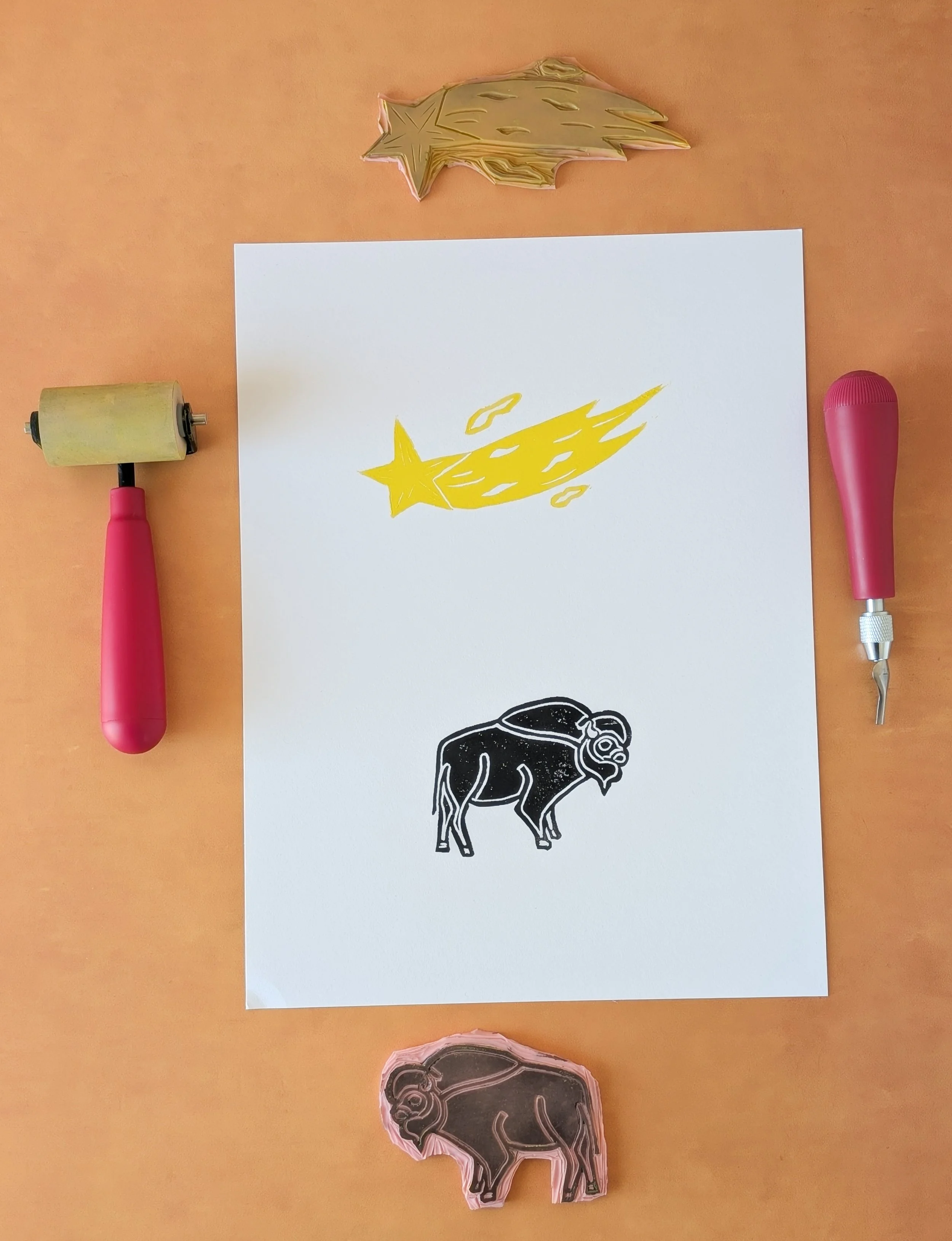 Bison & Shooting Star