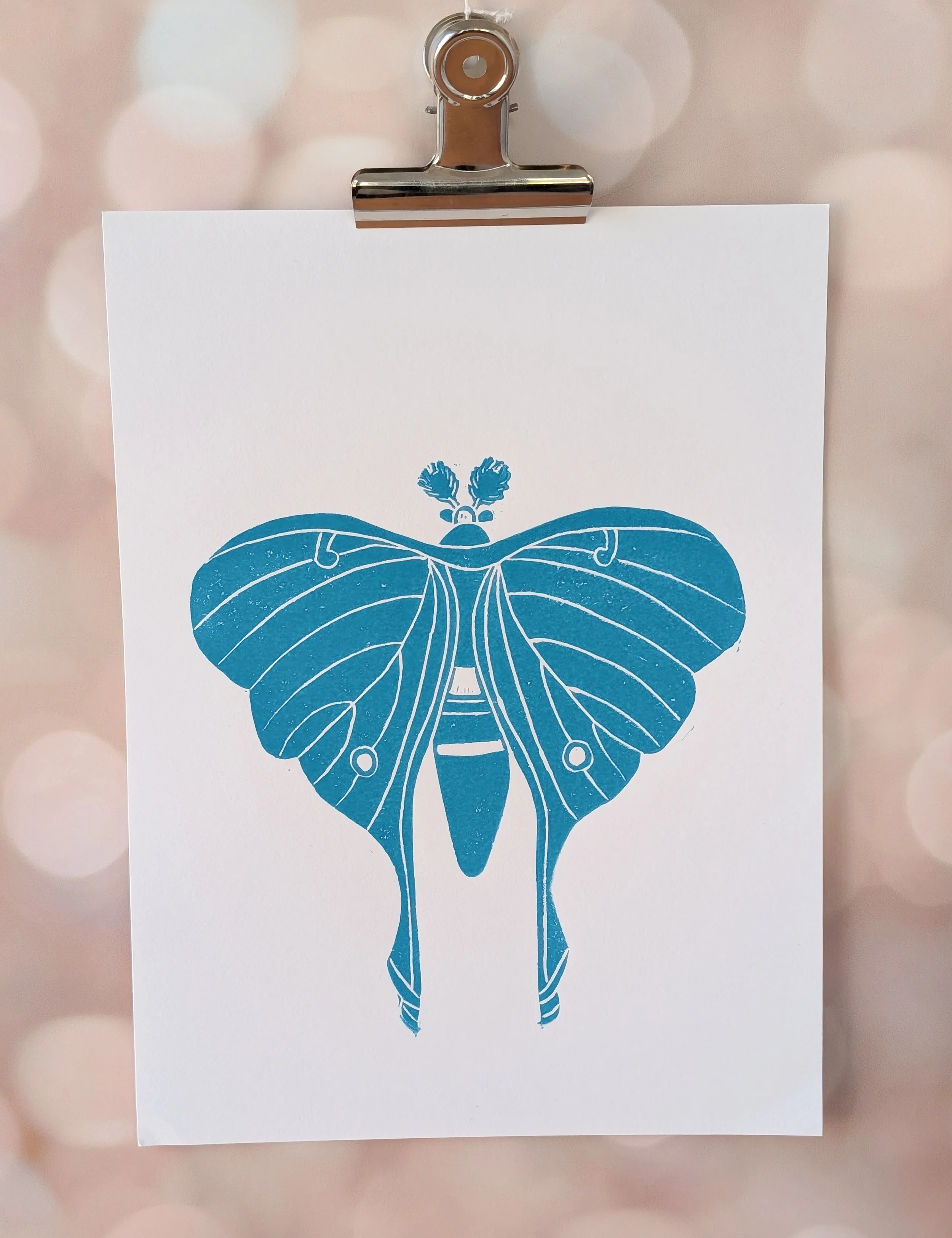 Luna Moth (6).jpg.jpg