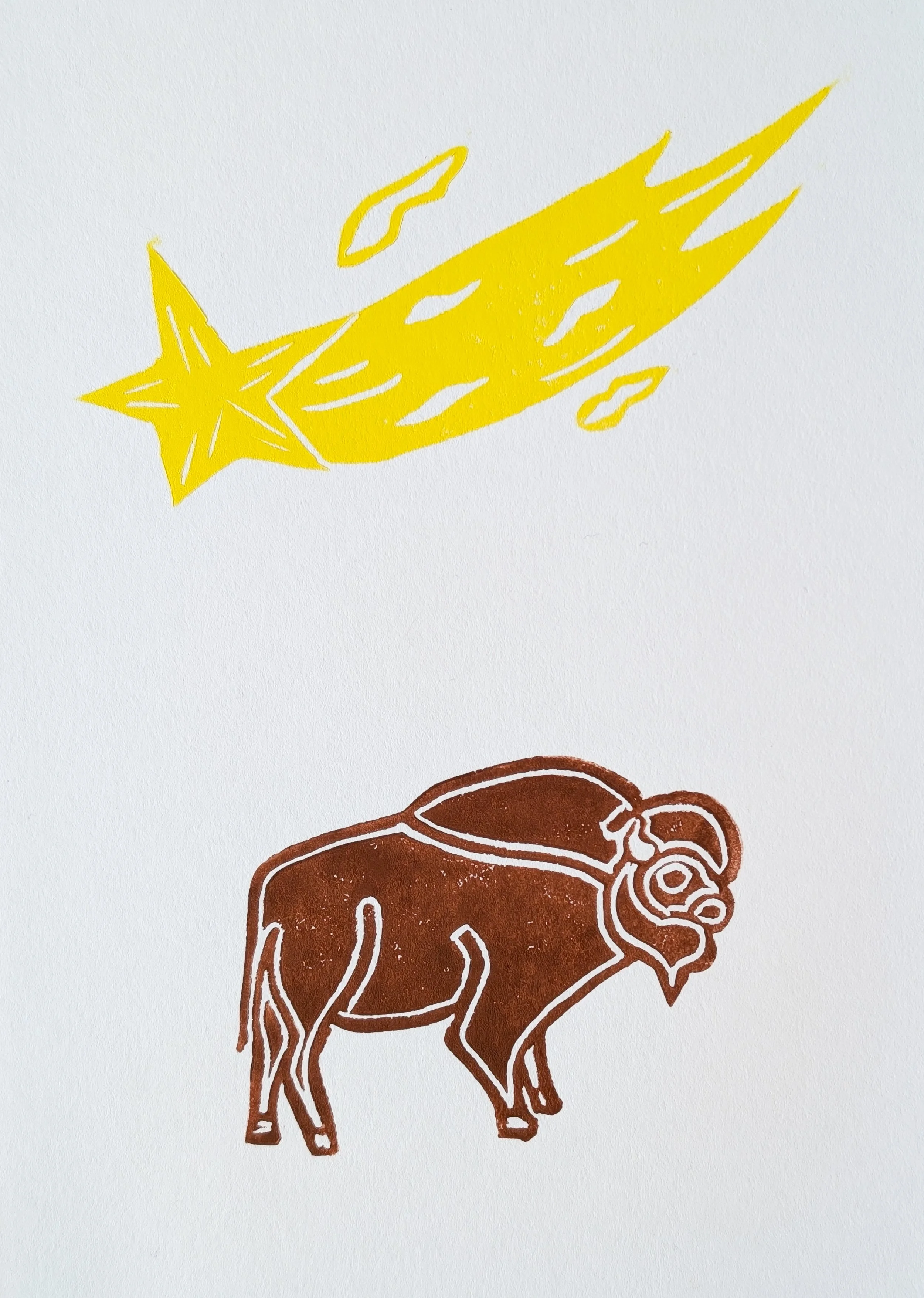 Med Bison (8).jpg.jpg