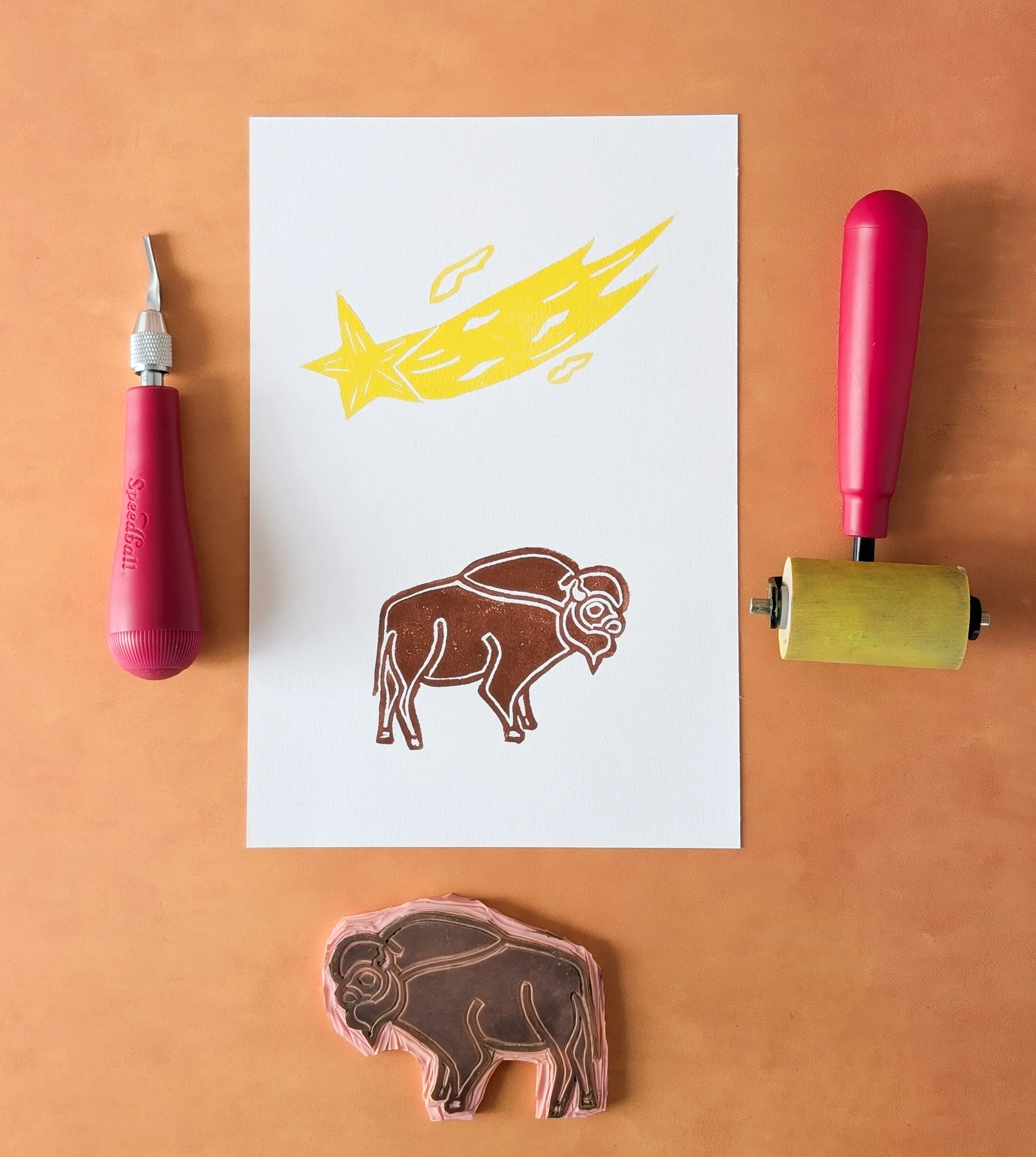 Med Bison (4).jpg.jpg