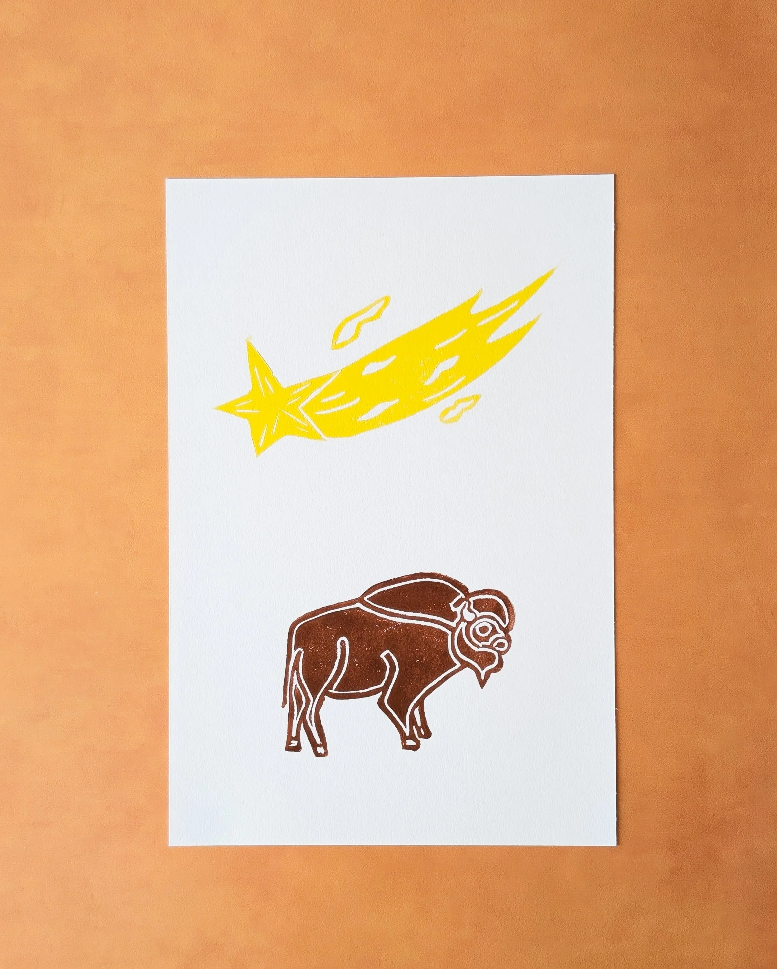 Med Bison (7).jpg.jpg