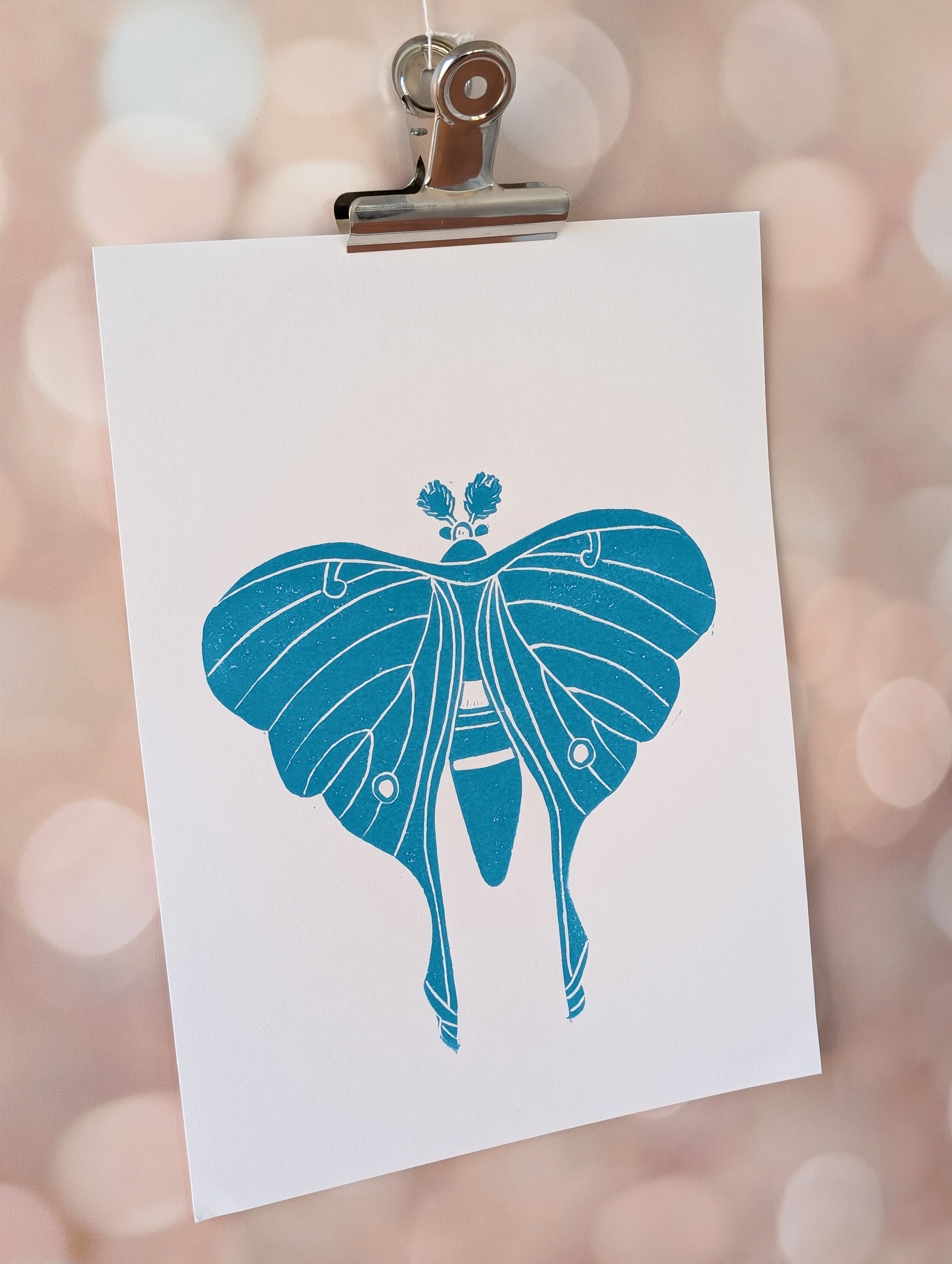 Luna Moth (7).jpg.jpg