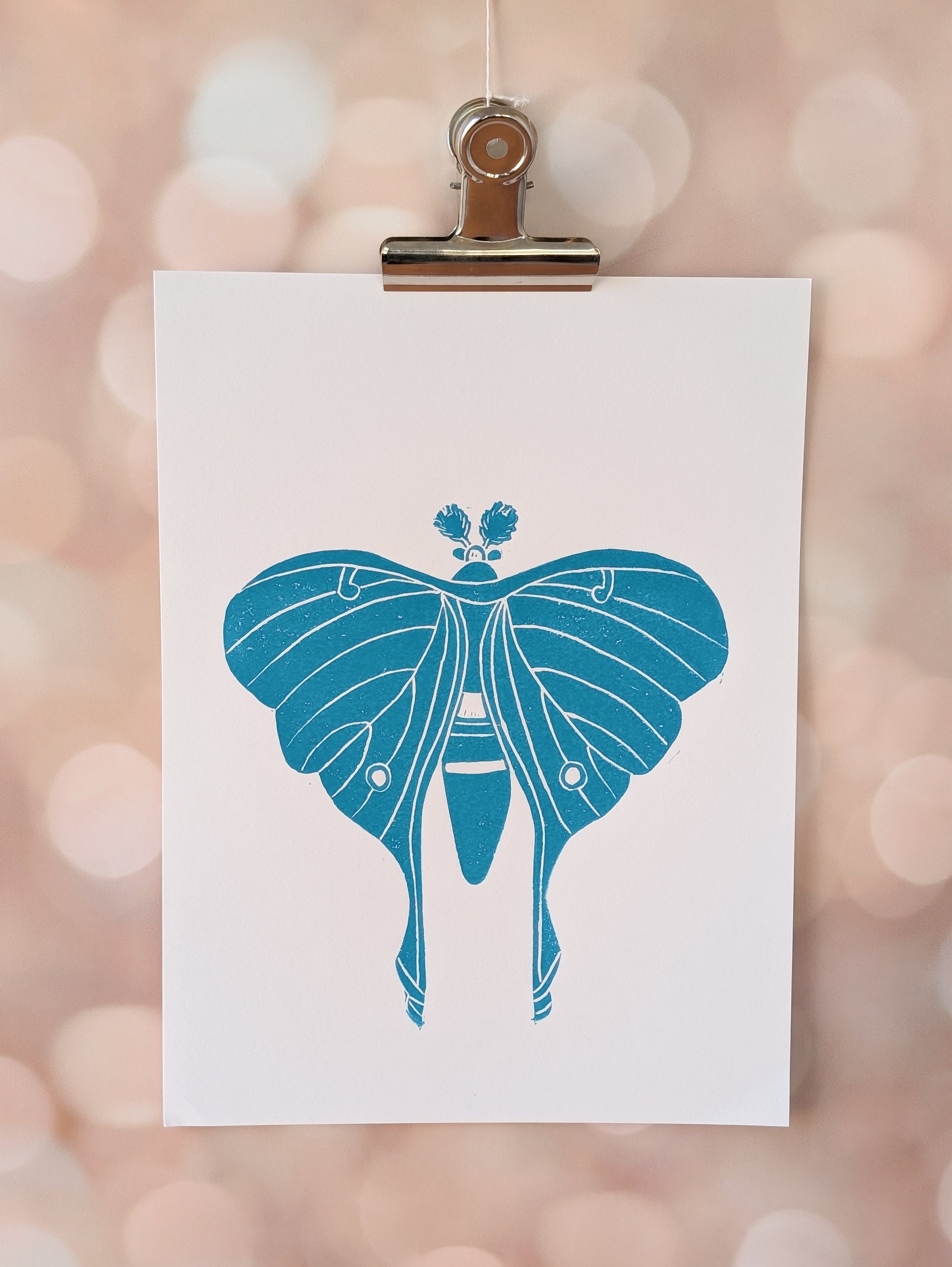 Luna Moth (5).jpg.jpg