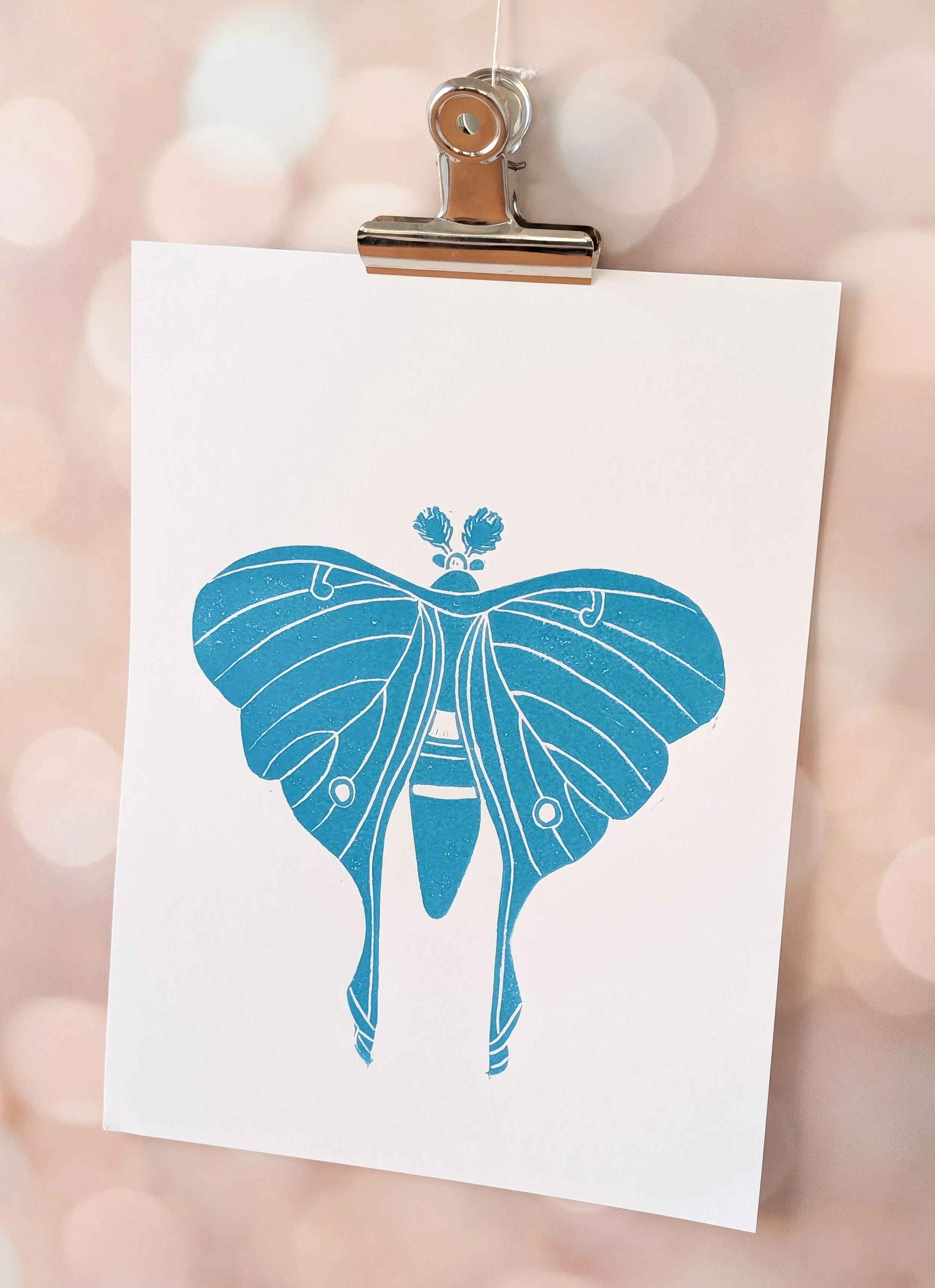 Luna Moth (8).jpg.jpg