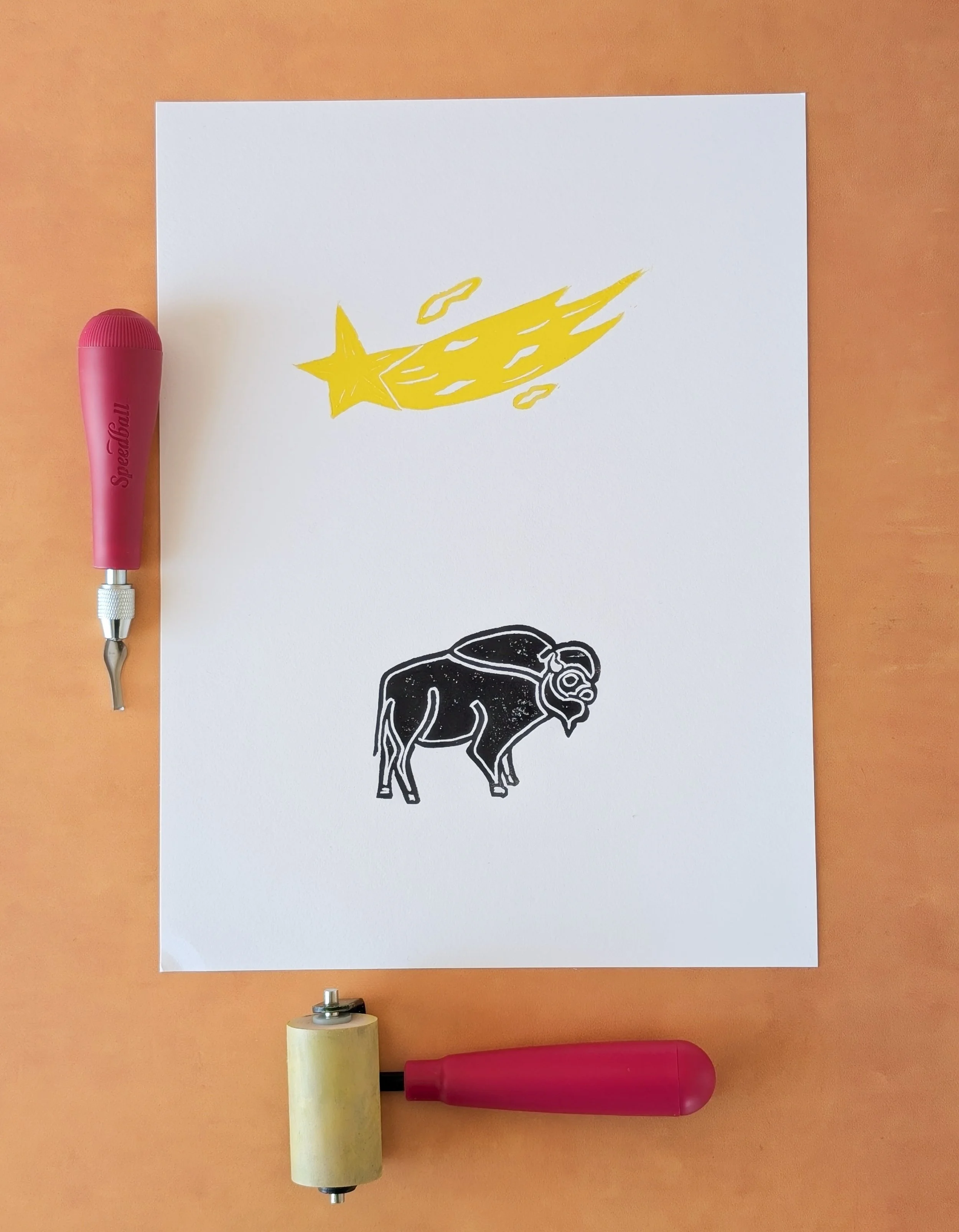 Lg Bison (8).jpg.jpg