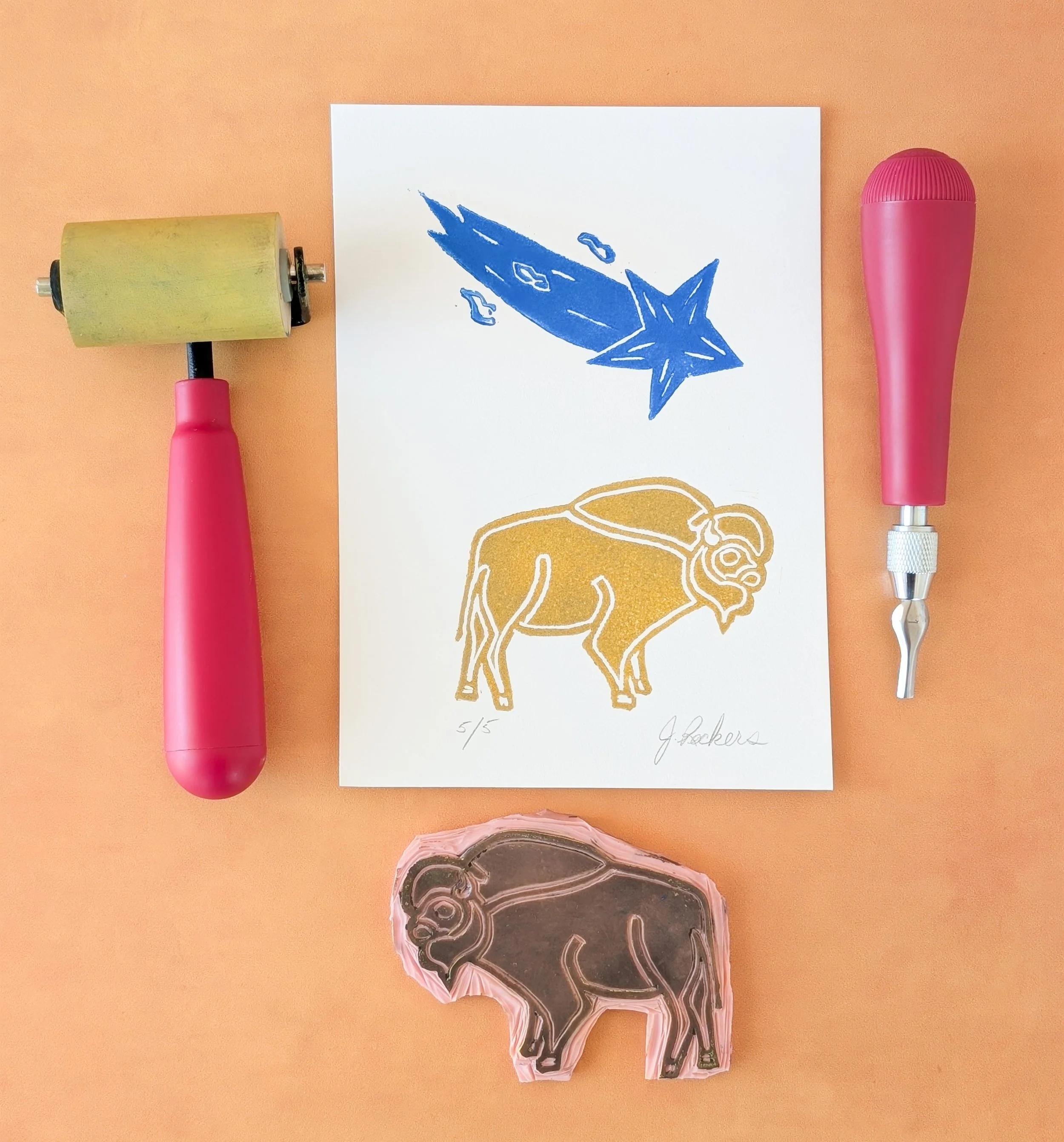 SM Bison (5).jpg.jpg