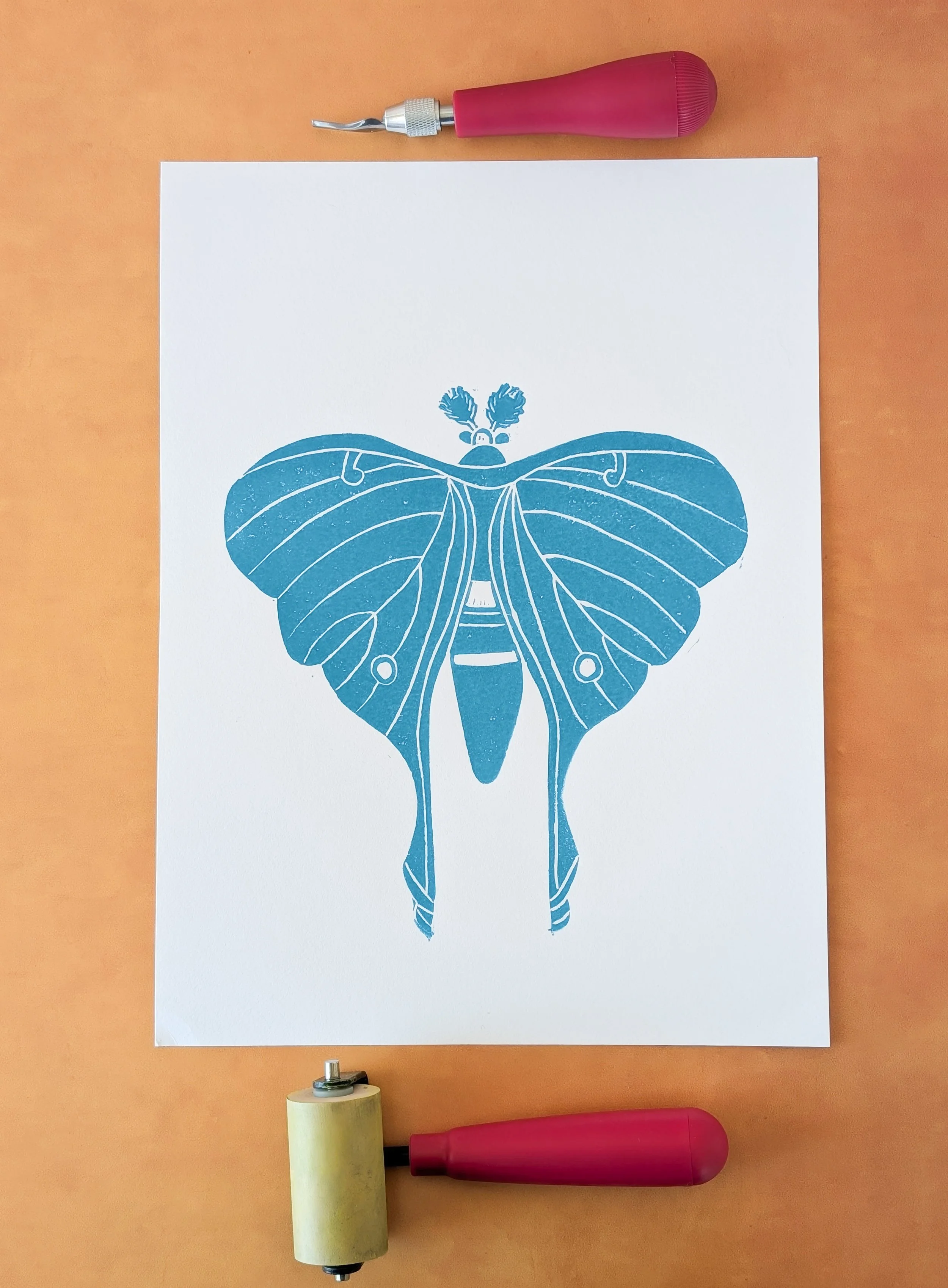Luna Moth Teal Print