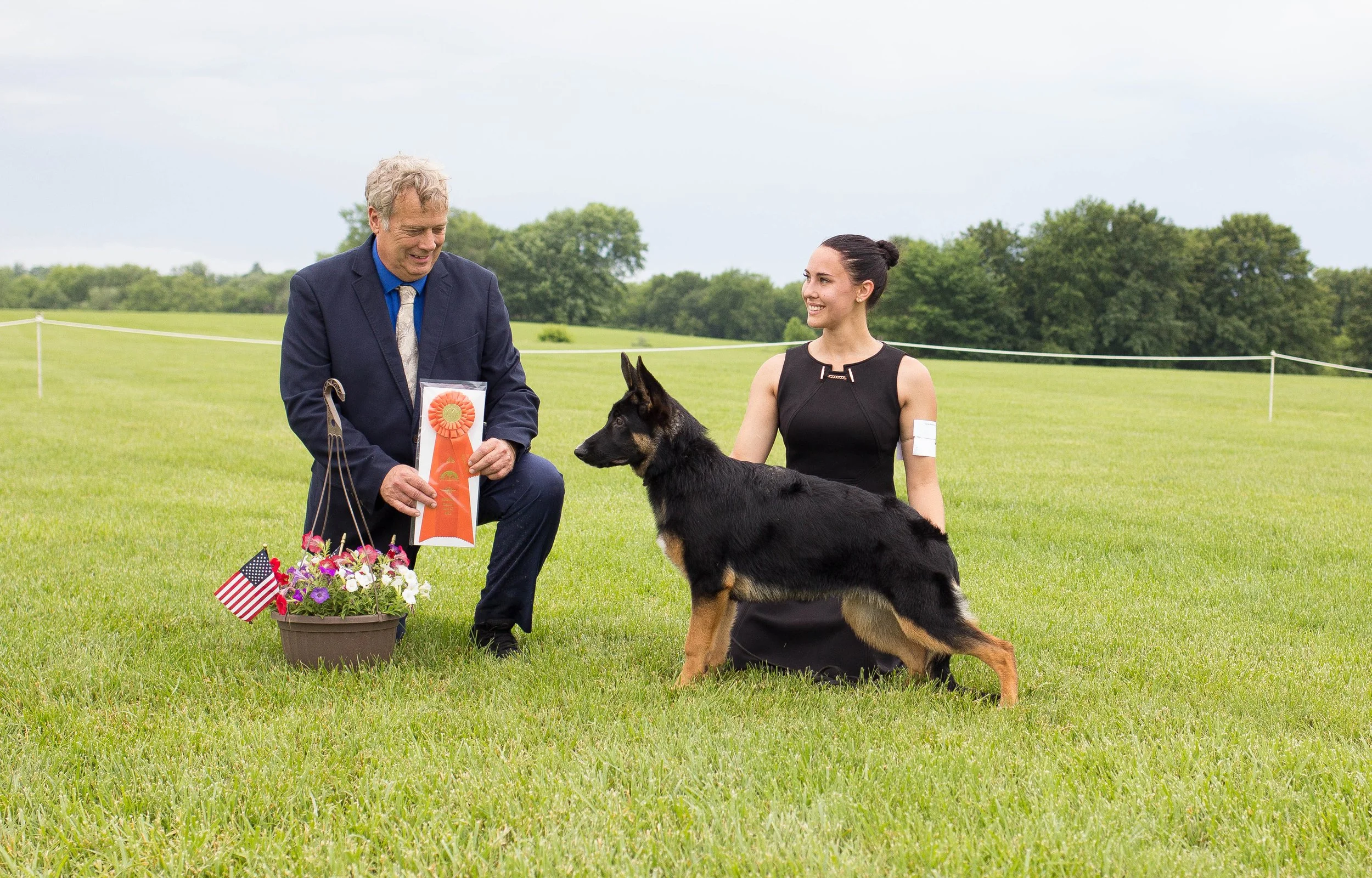 AKC Conformation Show Cluster