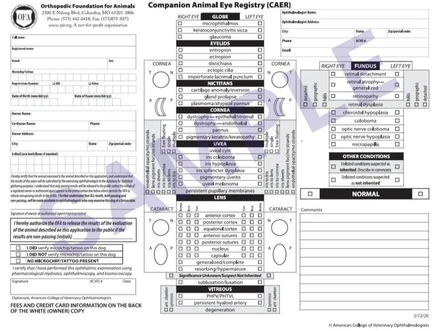 CAER Sample Form