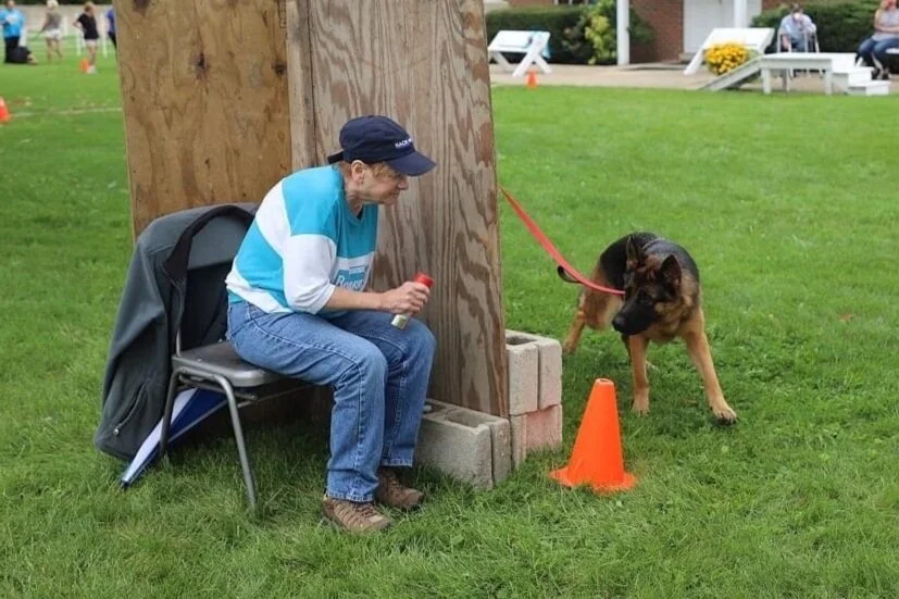 GSDCA Temperament Test