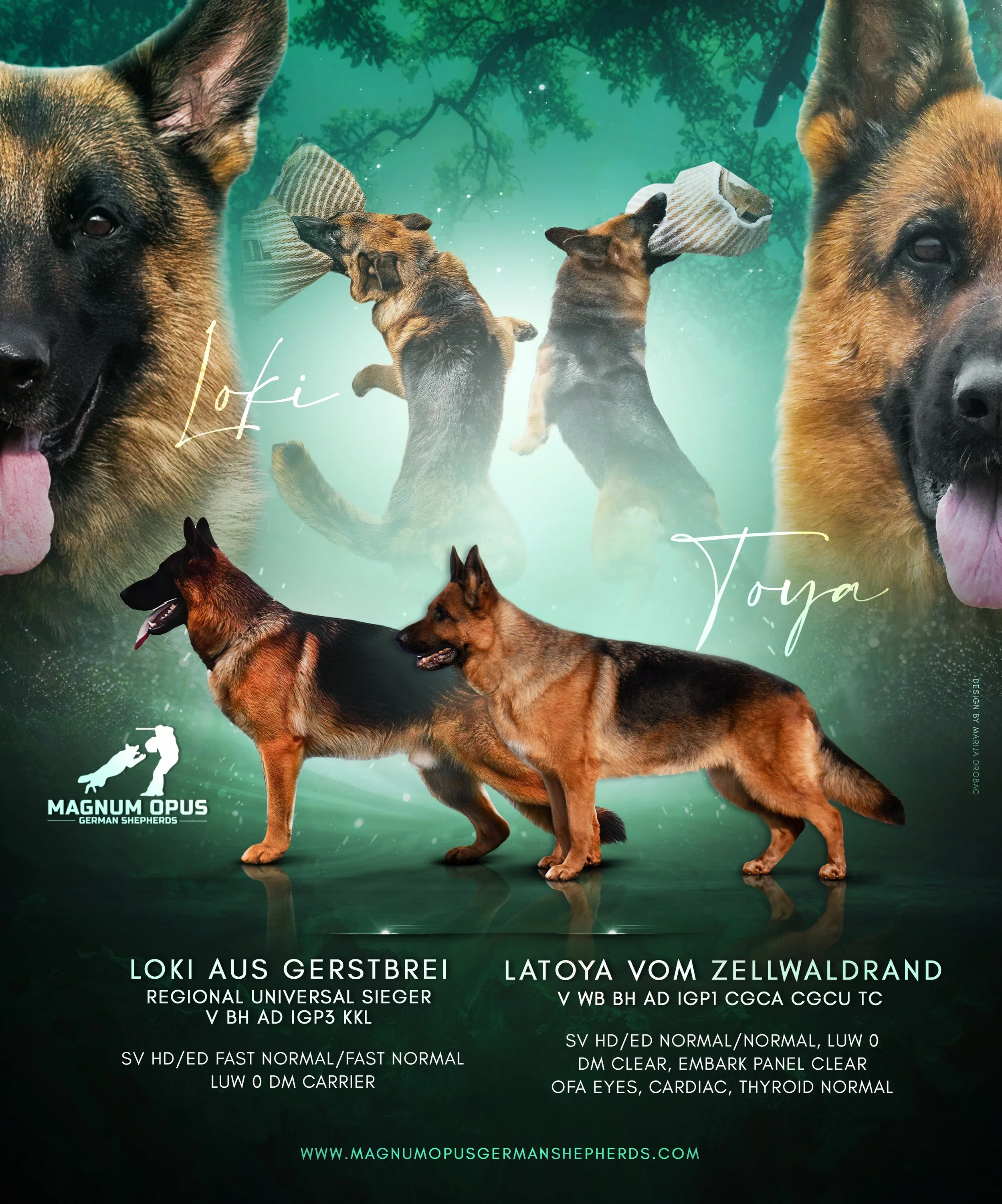 L-LITTER