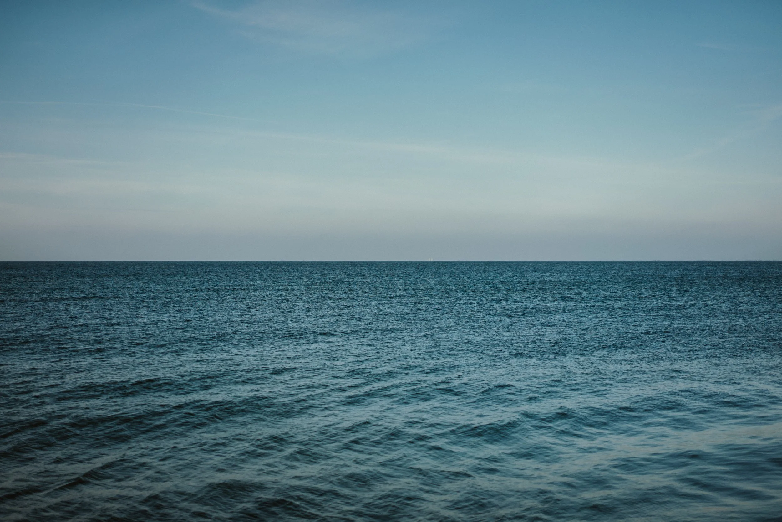 _DSC2167.jpg