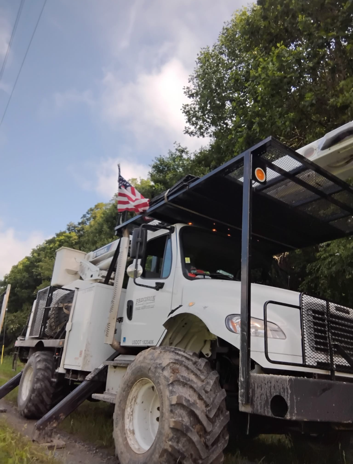 Precision Tree Service LLC Vegetation Management_Utilities_Excavation (1).PNG