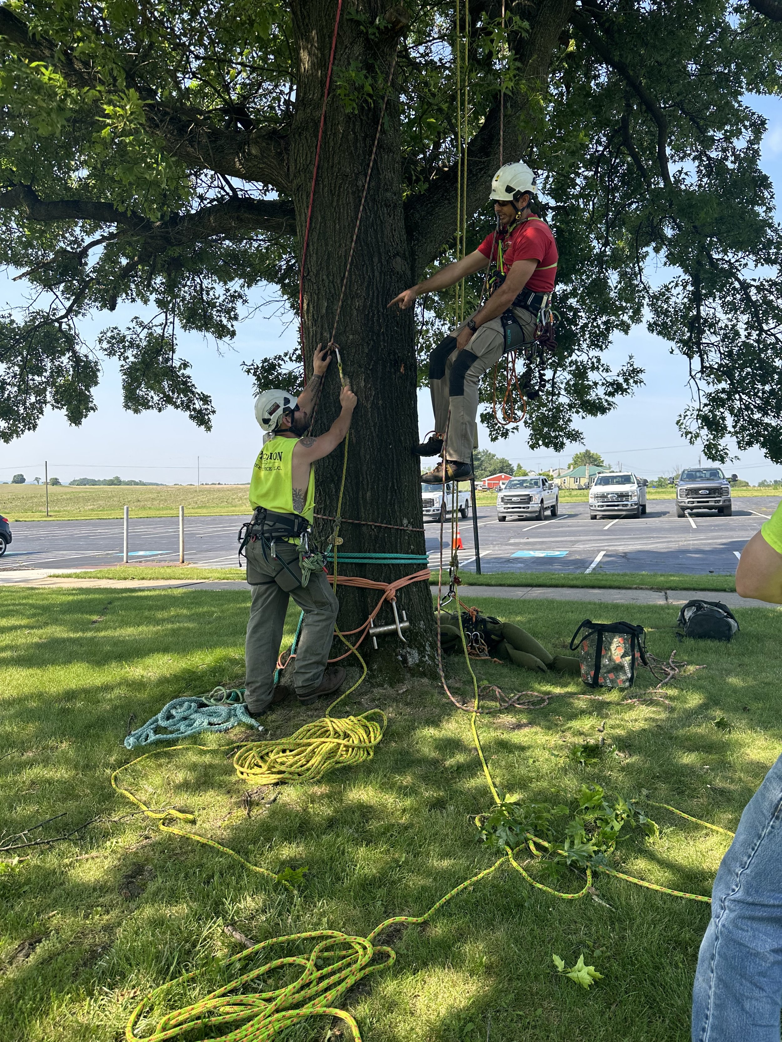 EHAT_Aerial Rescue Training_Precision Tree Service (2).jpeg