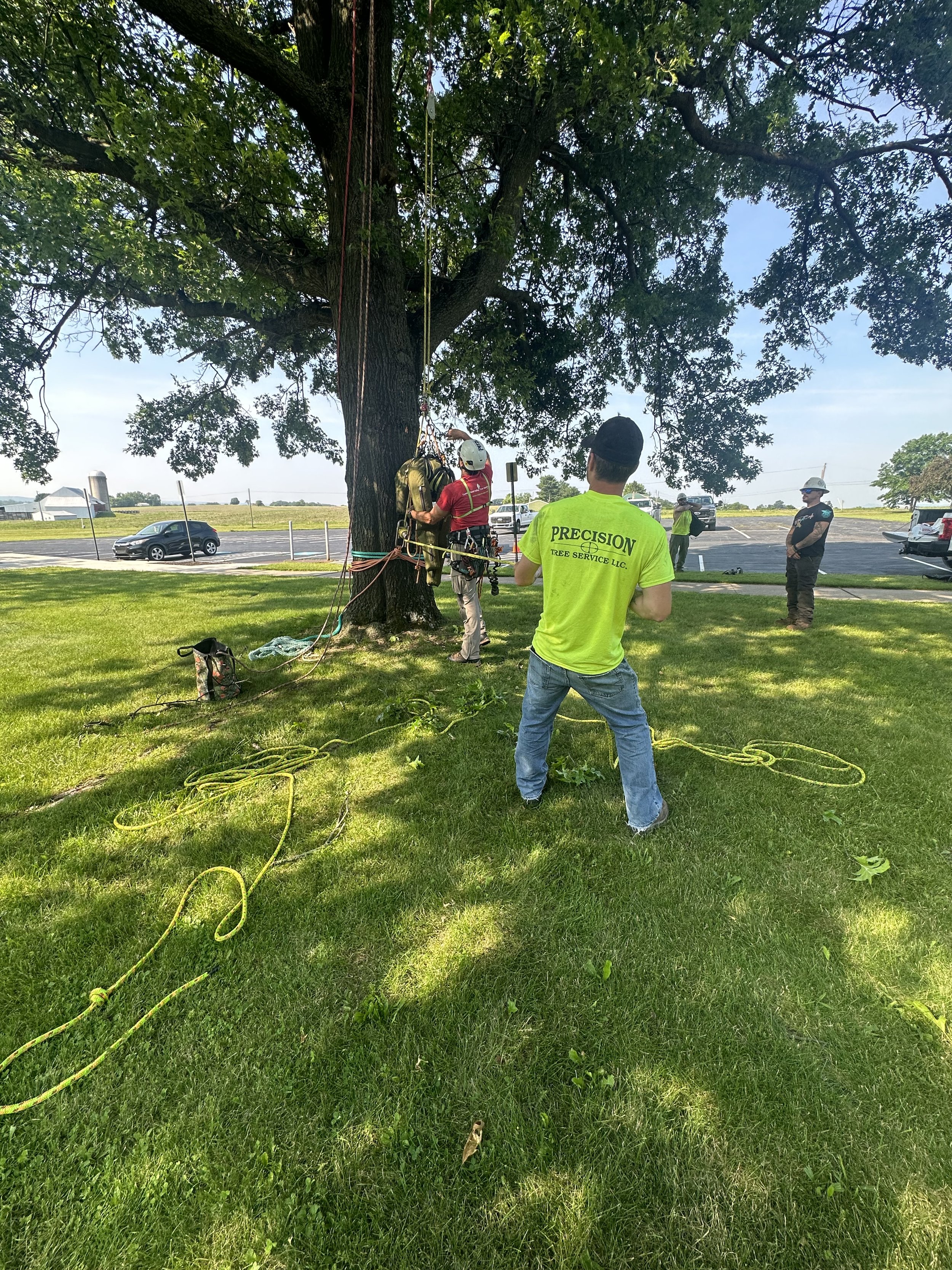 EHAT_Aerial Rescue Training_Precision Tree Service (3).jpeg