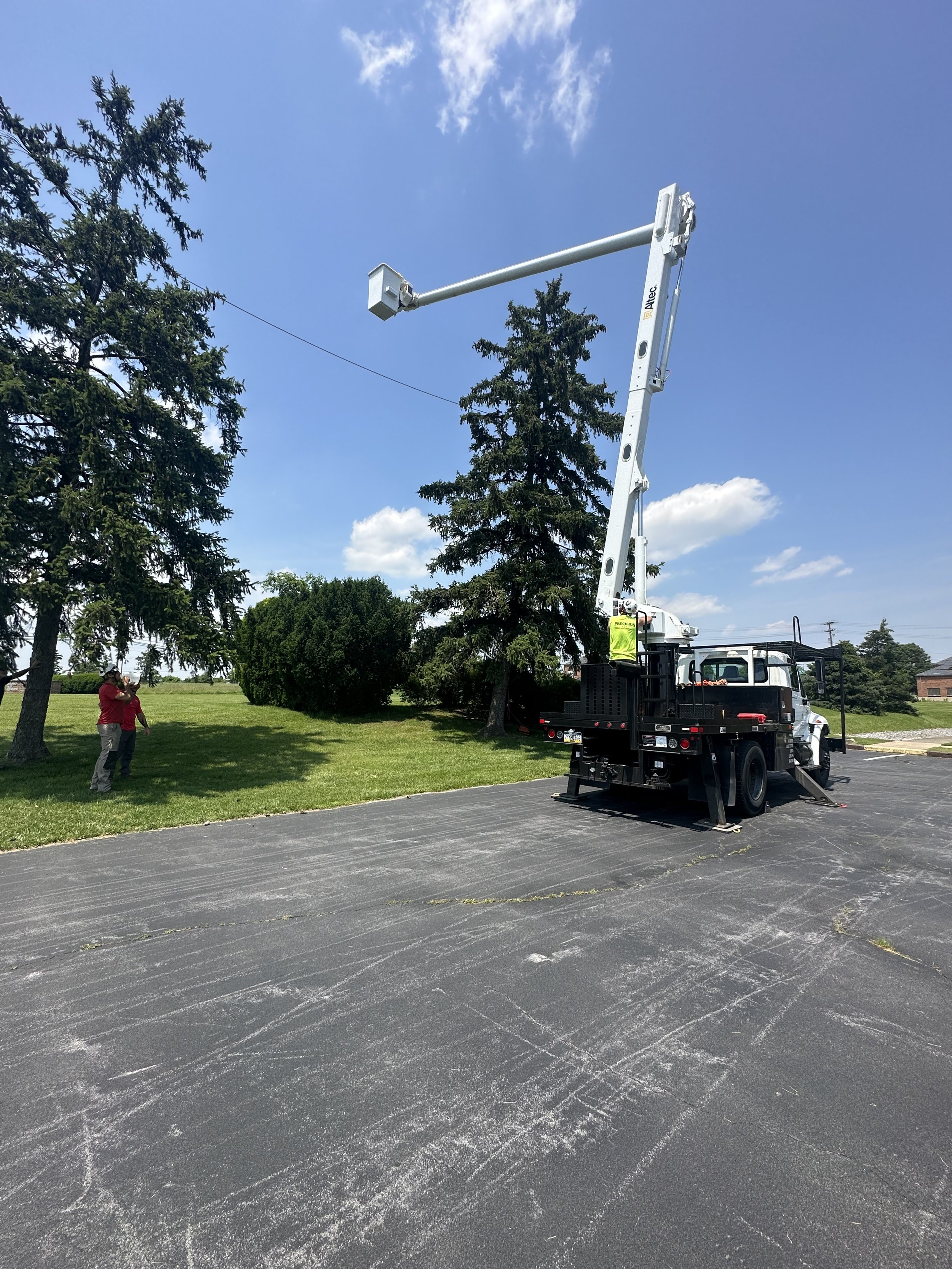EHAT_Aerial Rescue Training_Precision Tree Service (4).jpeg
