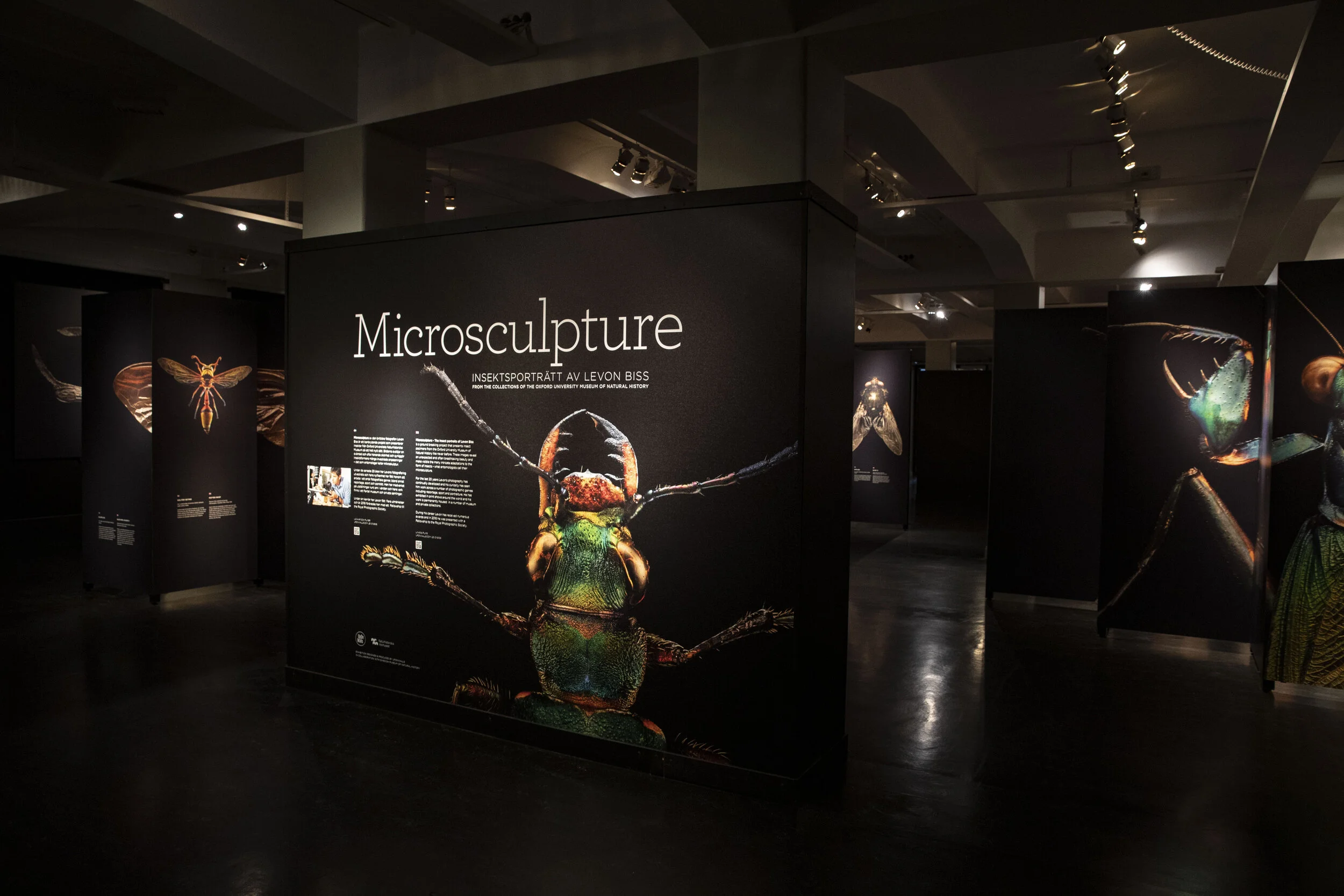 Microsculpture_Naturhistoriska_Riks_MuseetFoto_@Per_Olsson0930_12.JPG