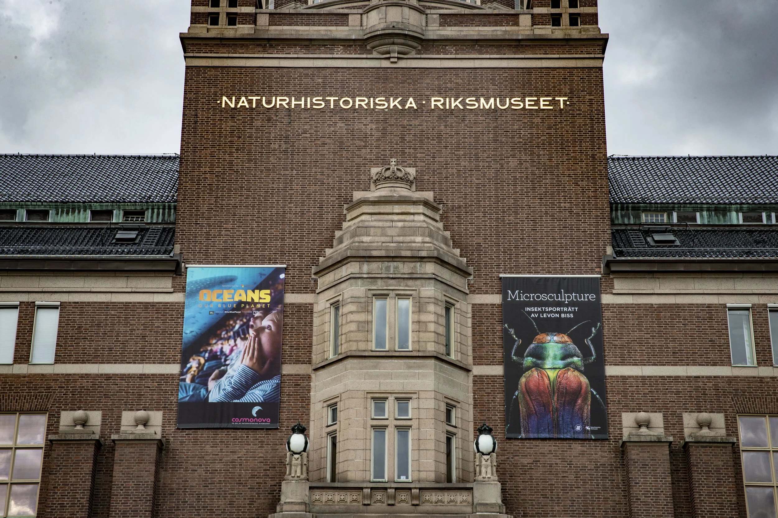 Microsculpture_Naturhistoriska_Riks_MuseetFoto_@Per_Olsson0930_54.JPG