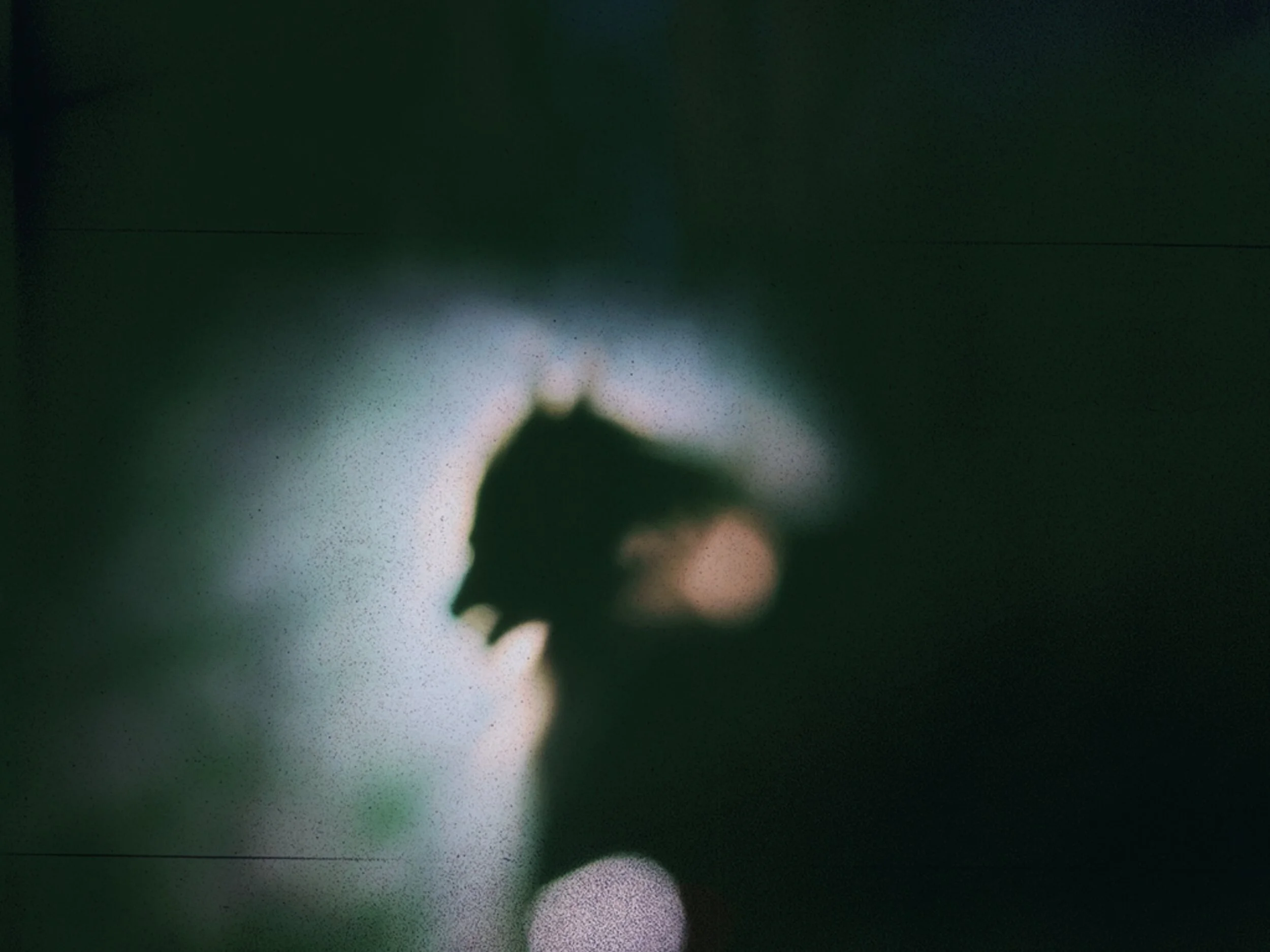 Rougarou First Look + Preorders