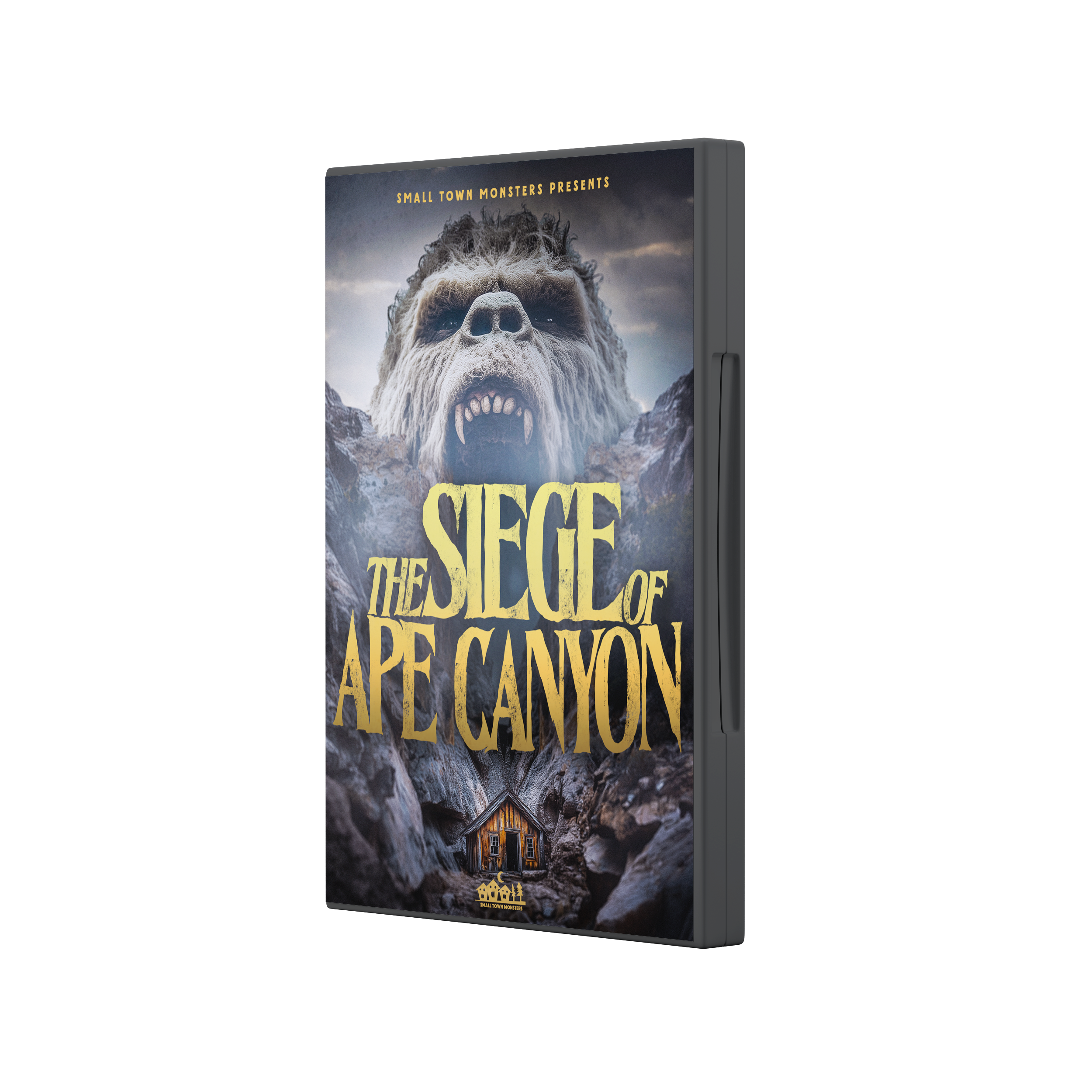 Siege_DVD_Mock.png