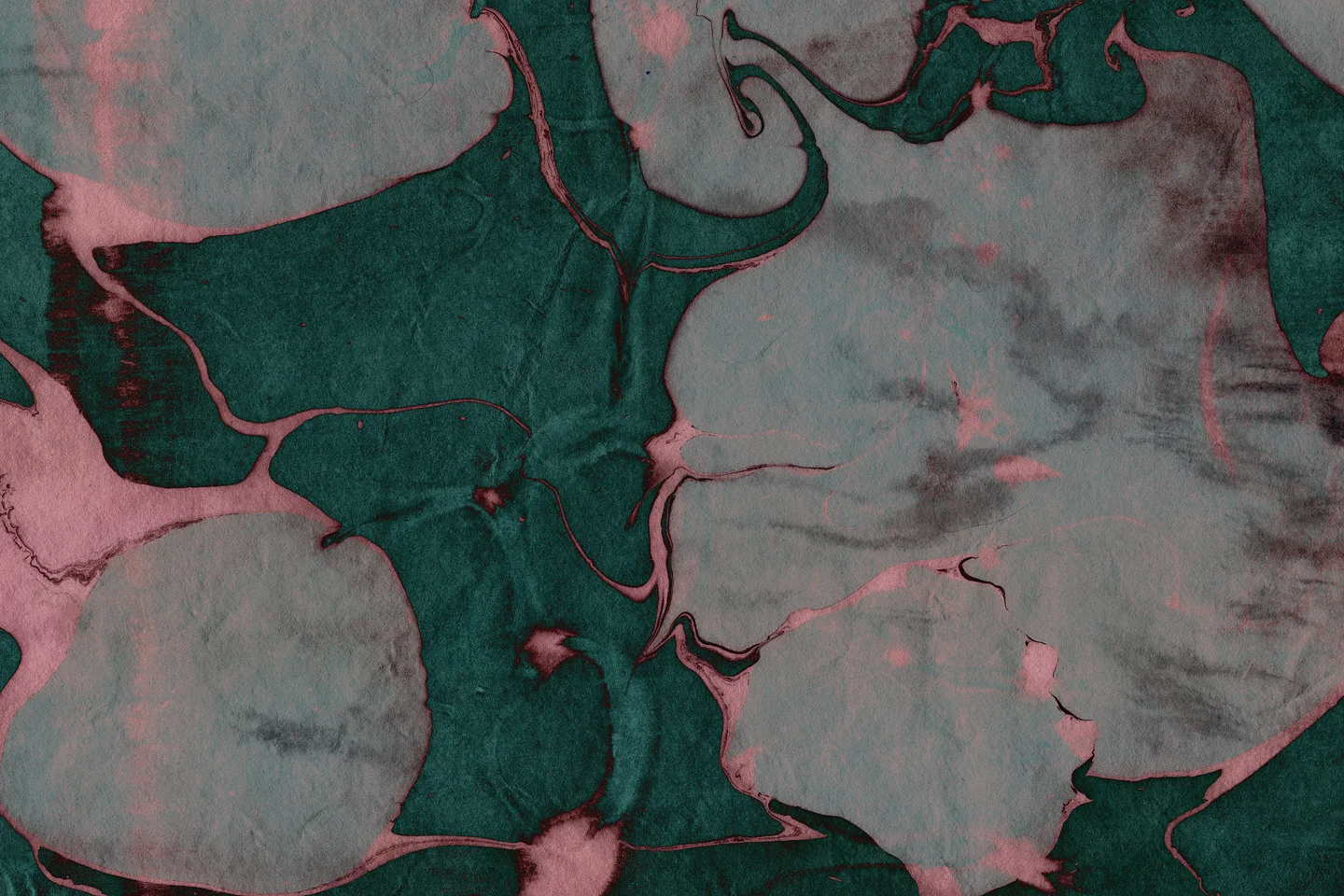 d46f93a9b76059d722c43552.jpg