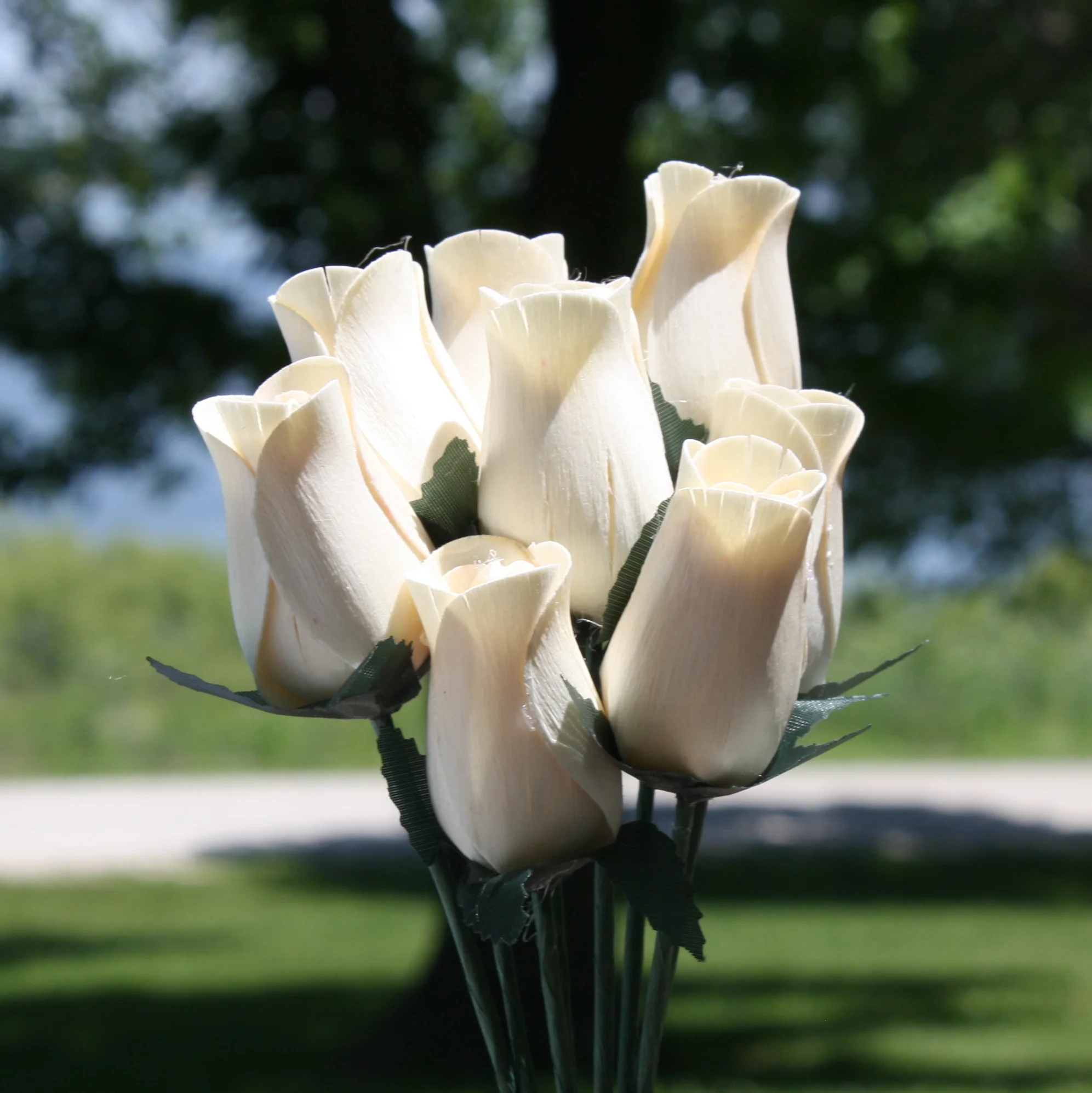 27 white 1.jpg