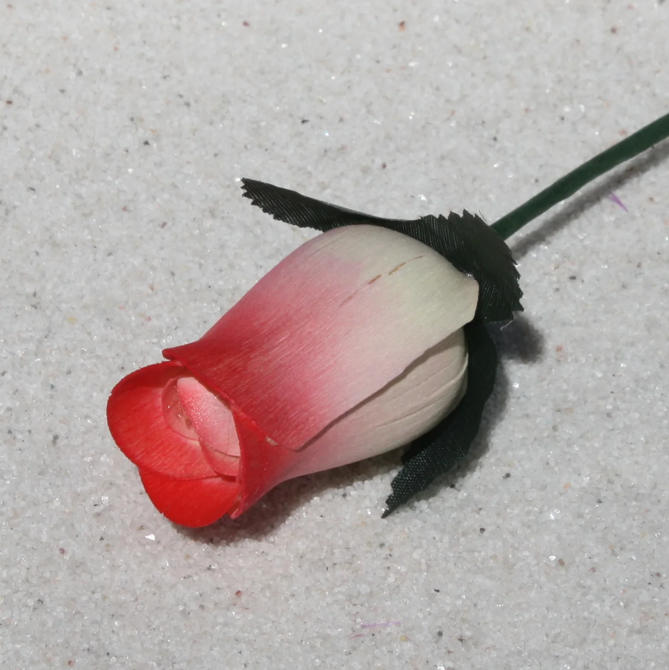 29 white red 3.jpg