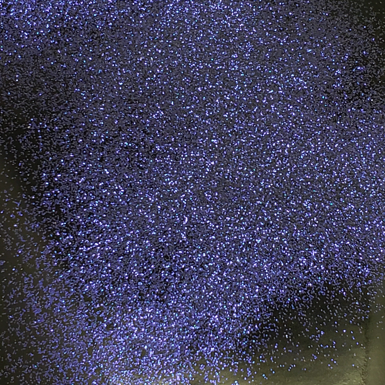 11 Regal 1.jpg