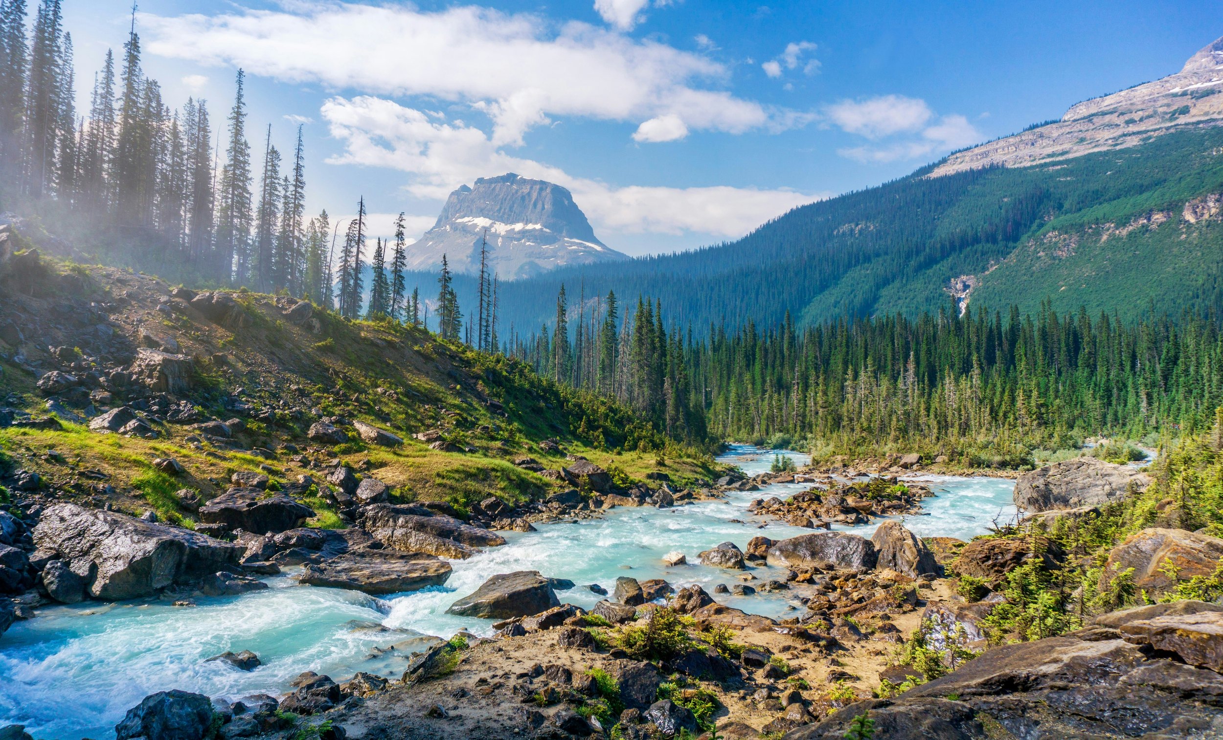 2026 Voter Survey on Public Lands