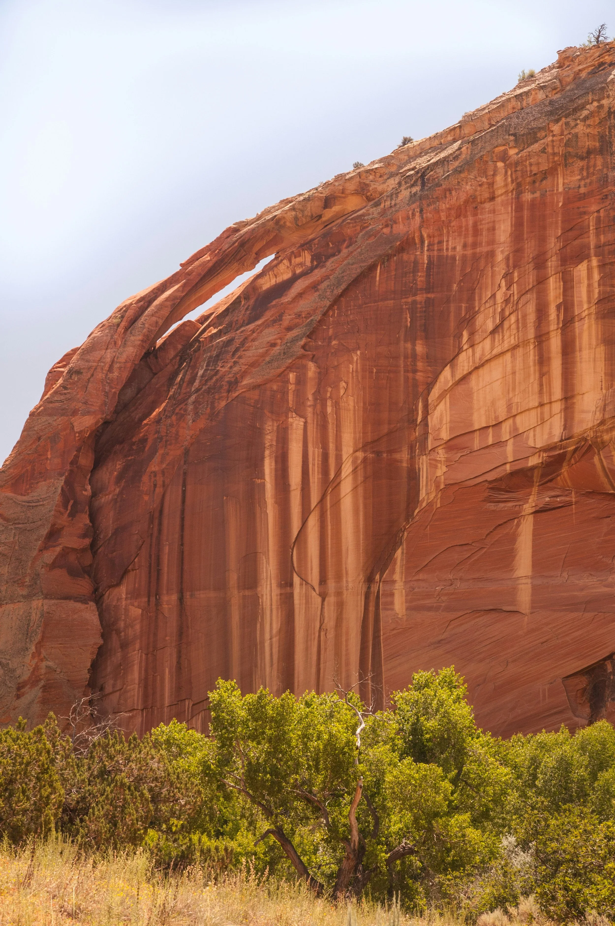 Utah National Monuments 2026 Survey