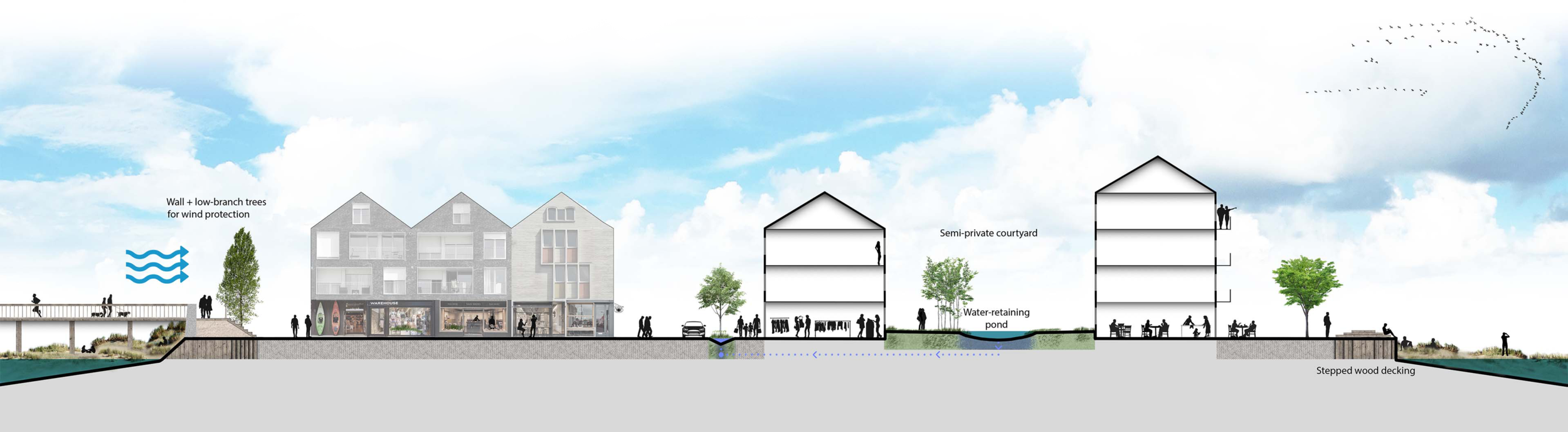 "Urban Wetlands" cross section
