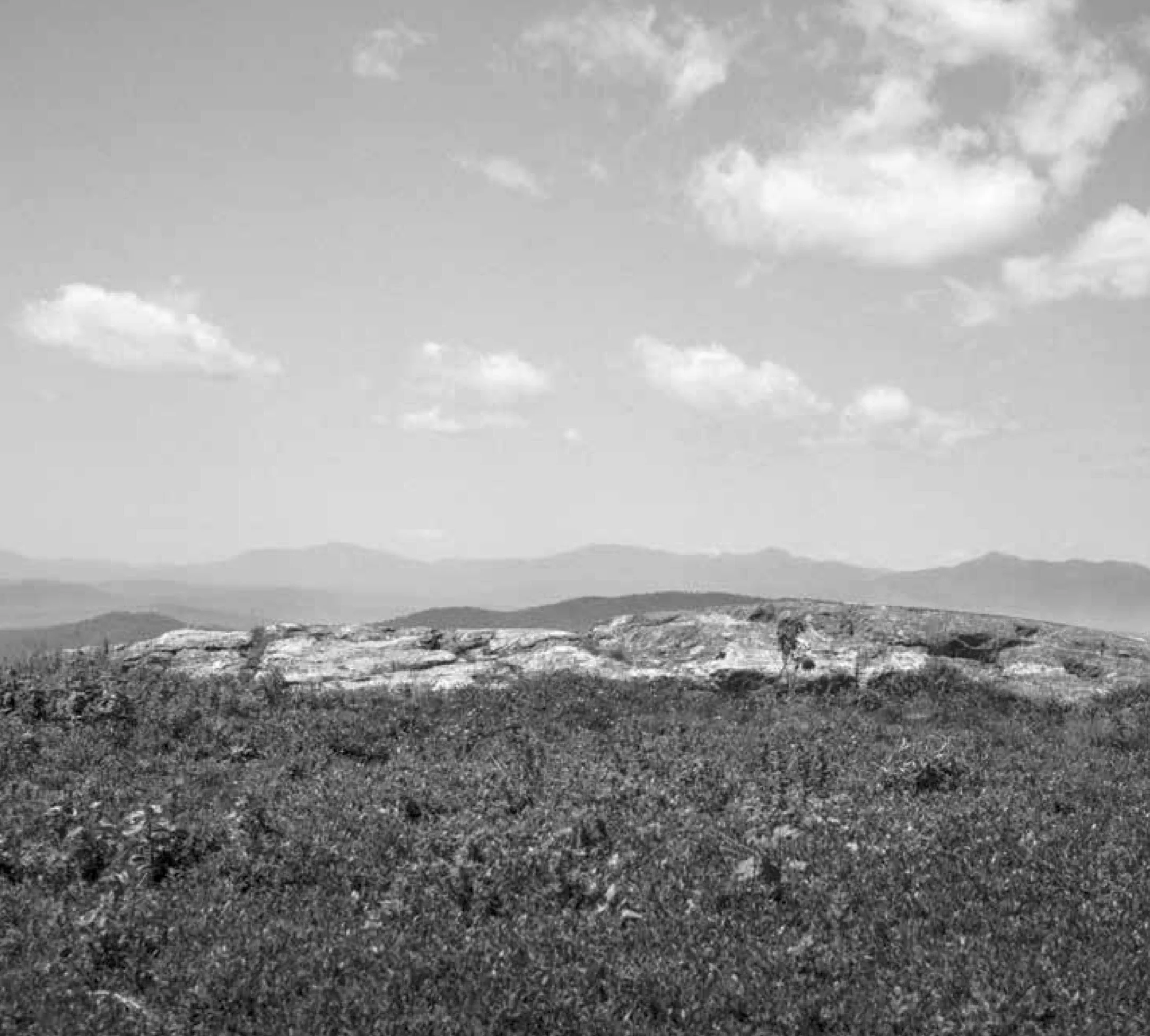 Rural Hours w/ Apple Hill String Quartet and James Reese, tenor