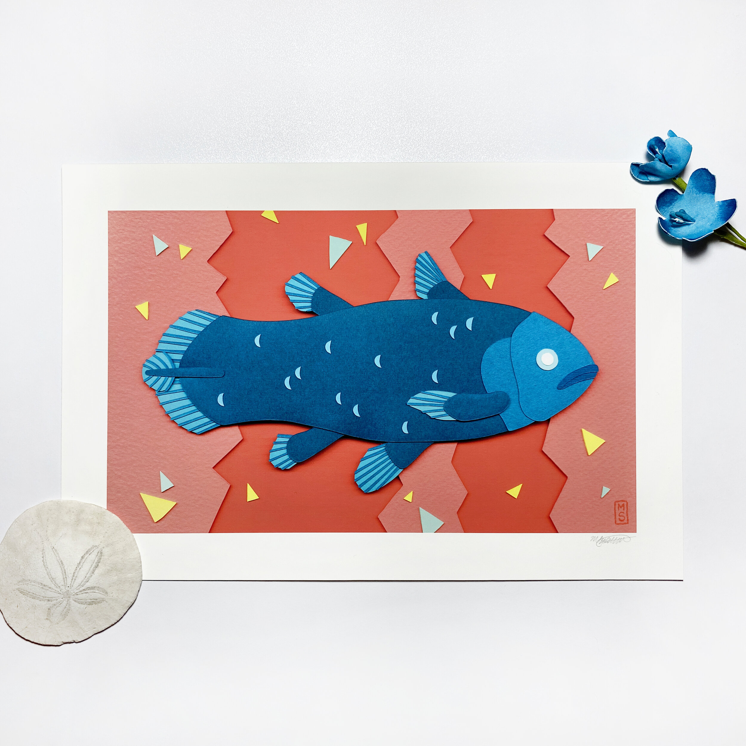 Coelacanth_1_Square.jpg