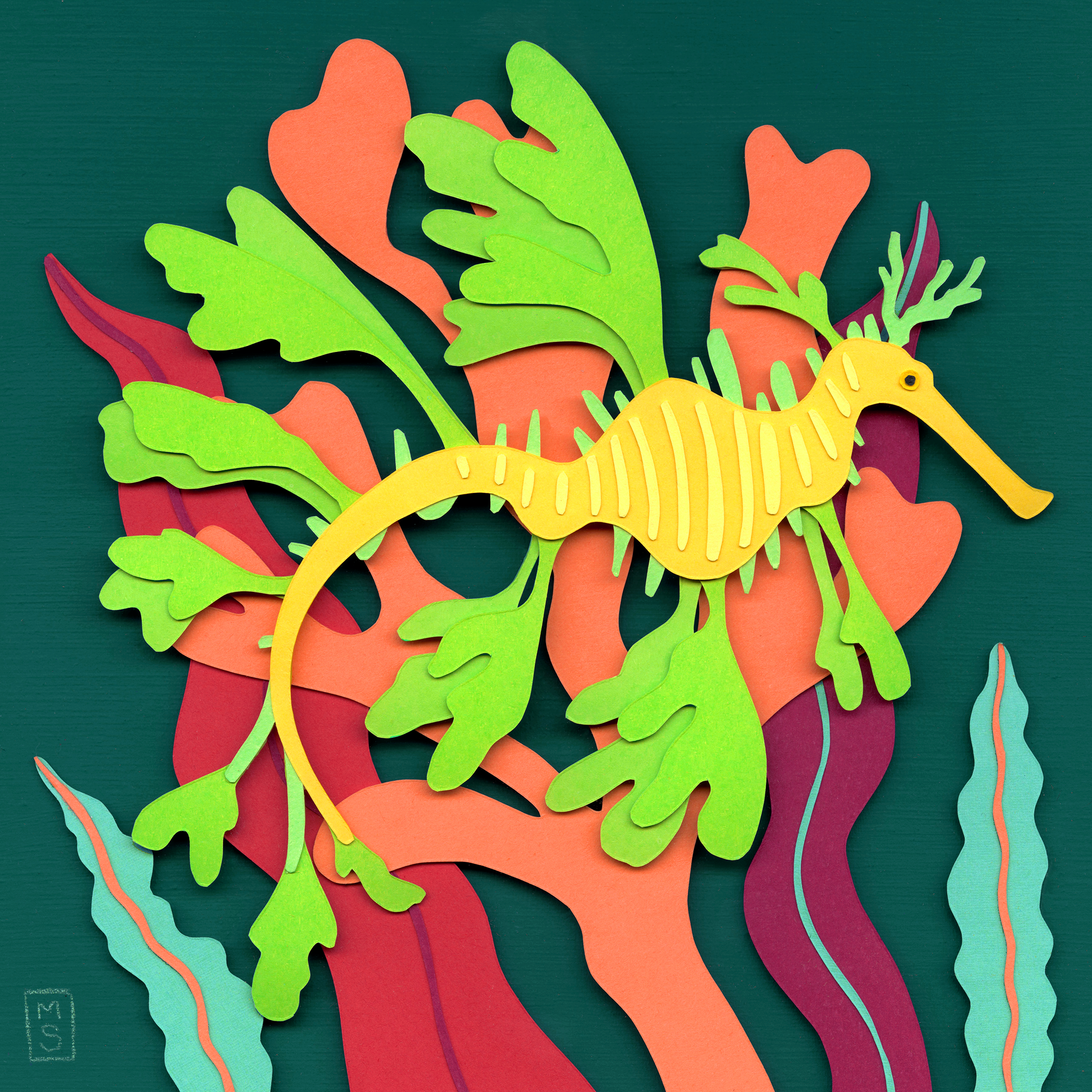 "Leafy Seadragon"